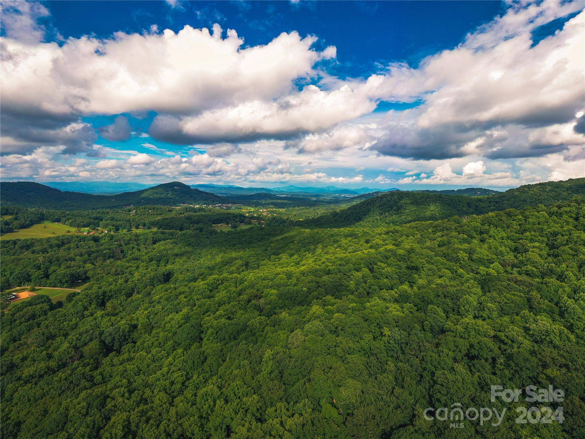 240 Smokemont DR, Arden, NC 28704