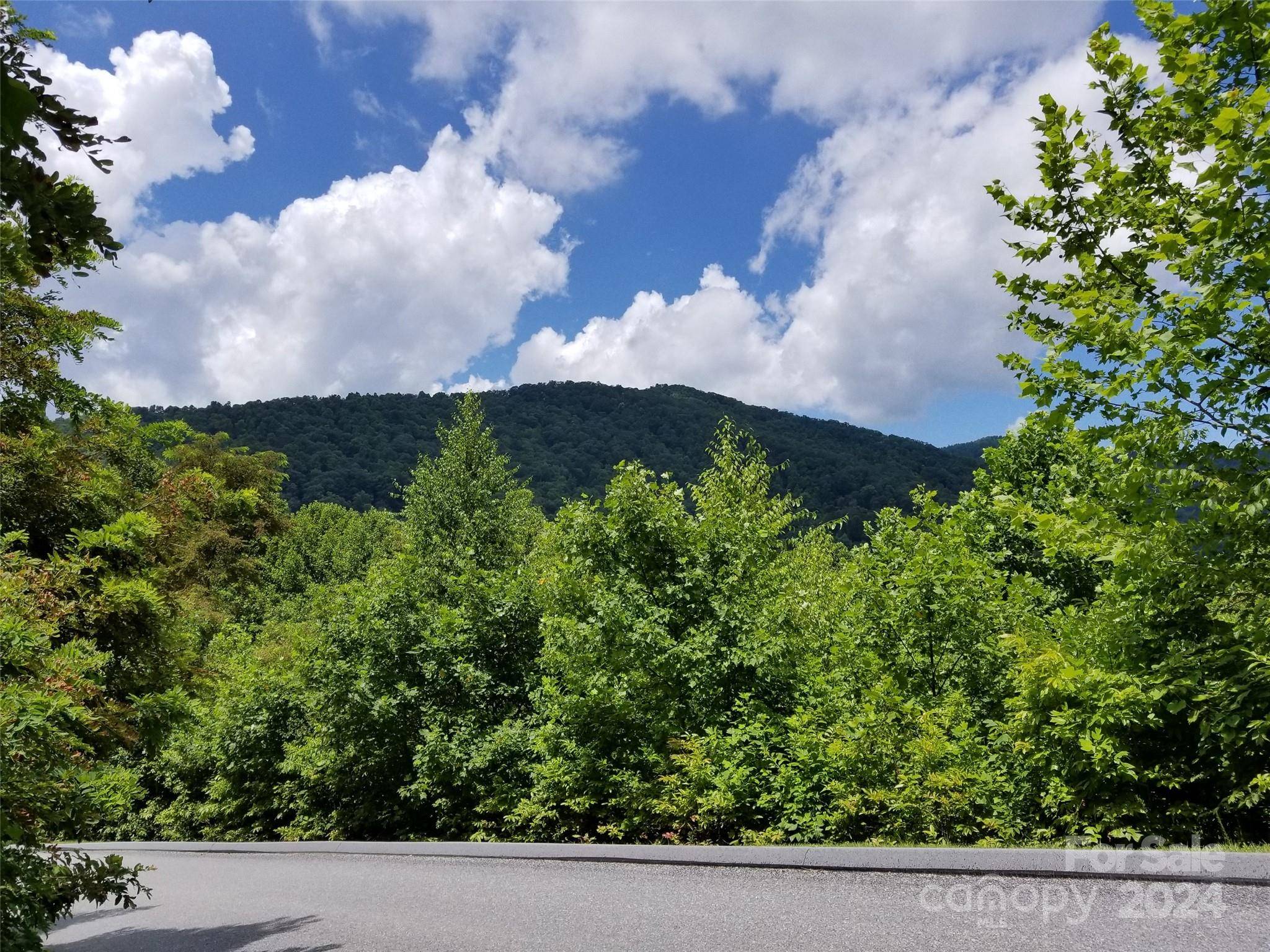 567 Blue Mist WAY, Arden, NC 28704