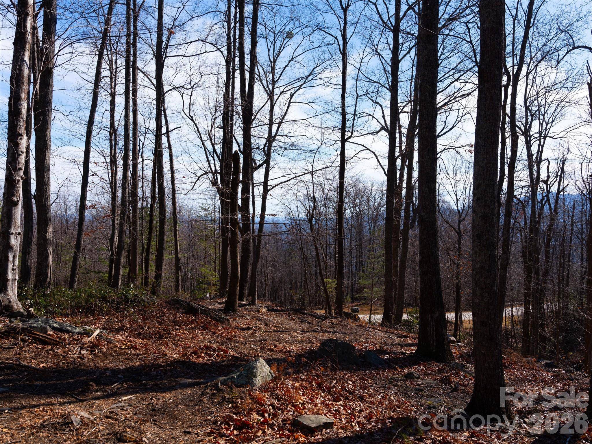 220 Chesterfield DR, Mill Spring, NC 28756