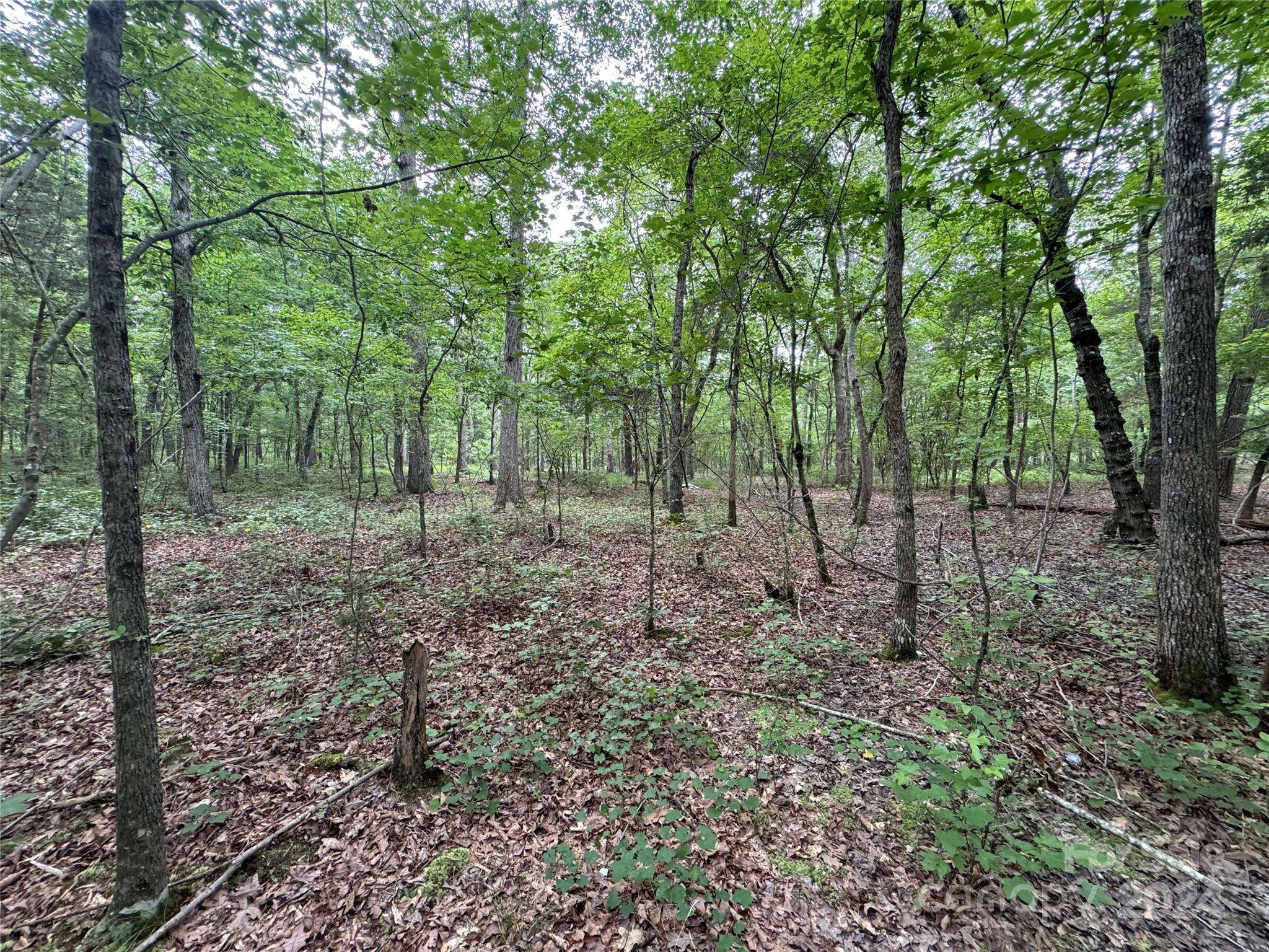 0 Reeves Island RD, Gold Hill, NC 28071