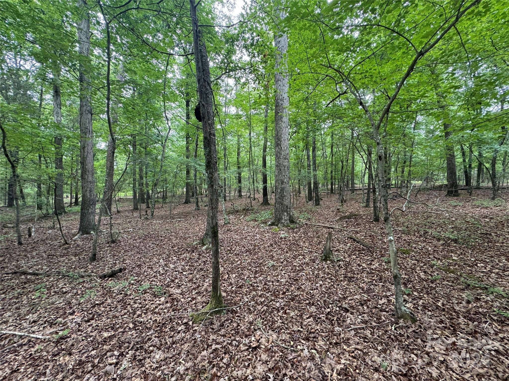 0 Reeves Island RD, Gold Hill, NC 28071