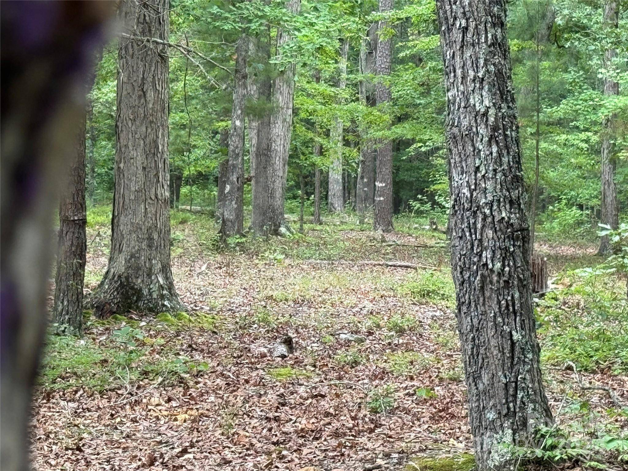 0 Reeves Island RD, Gold Hill, NC 28071