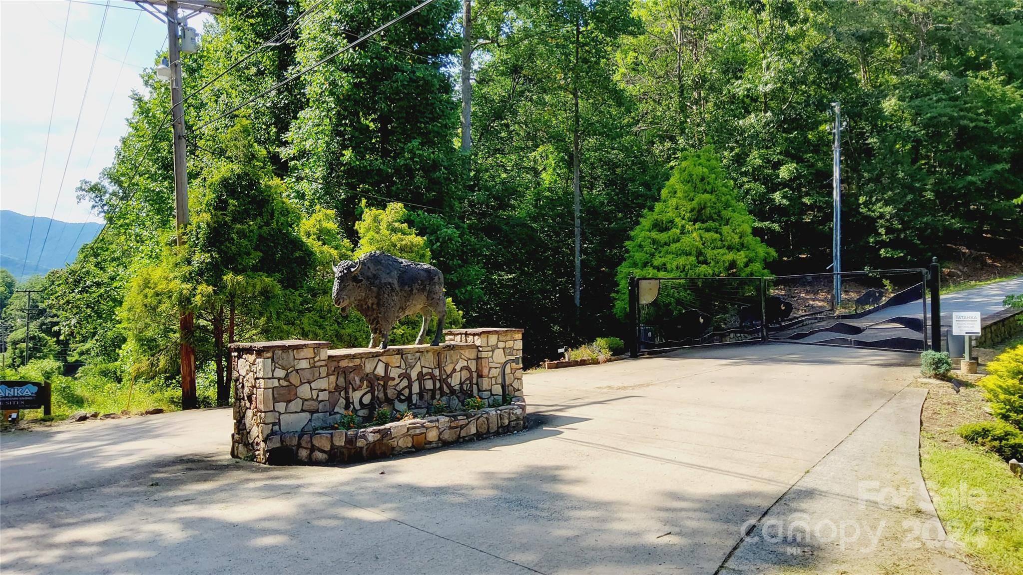 00 Wambli PASS #20 & 21, Lake Lure, NC 28746
