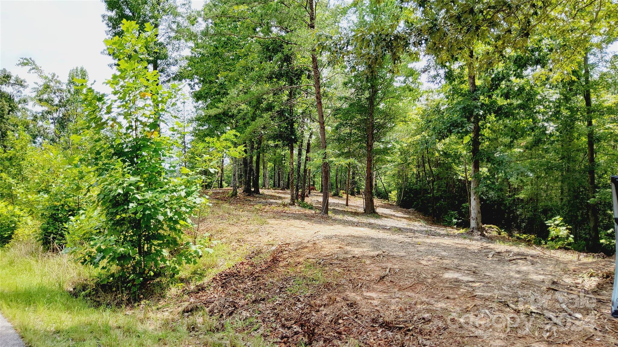 00 Wambli PASS #20 & 21, Lake Lure, NC 28746