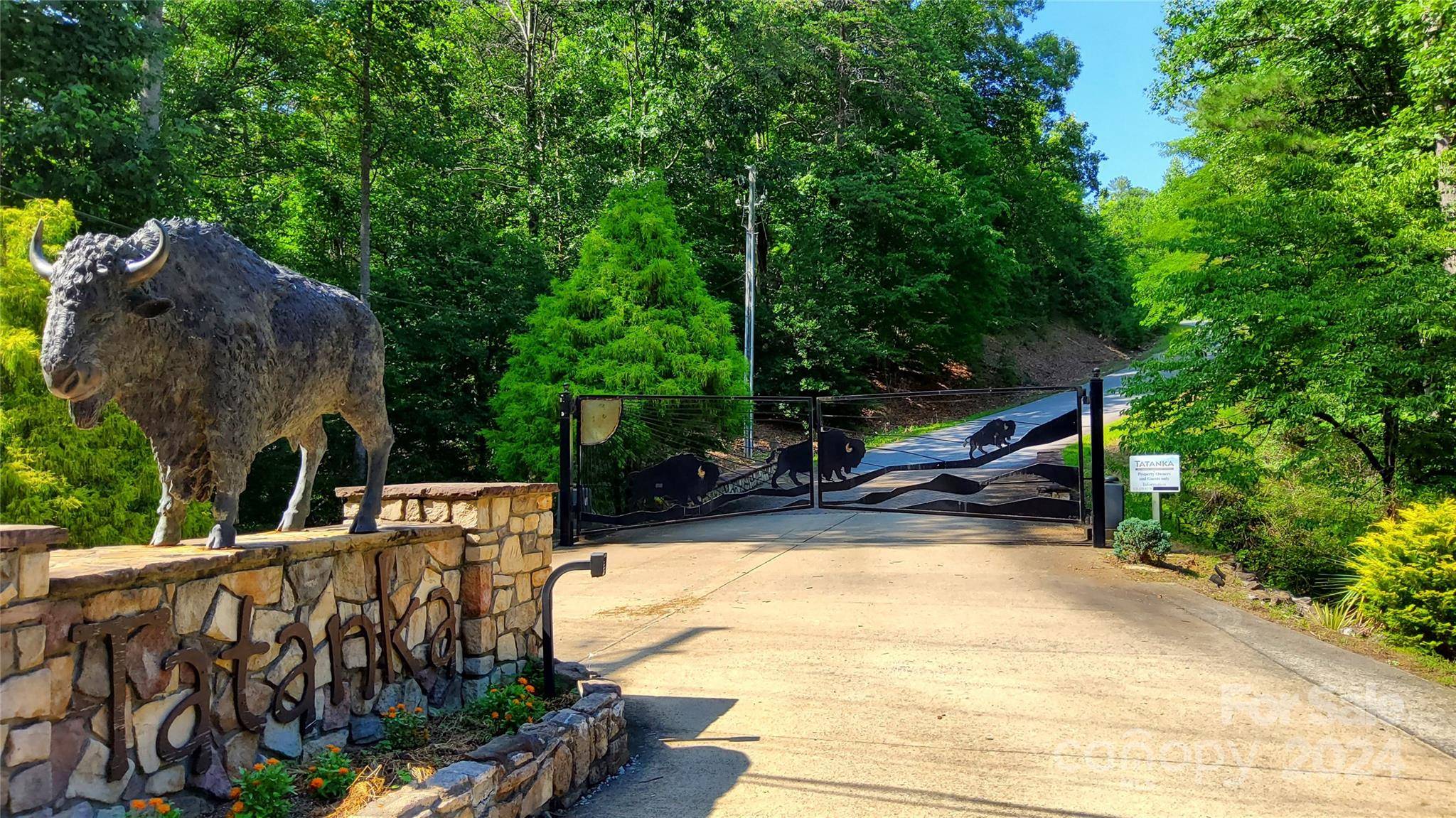 00 Wambli PASS #20 & 21, Lake Lure, NC 28746