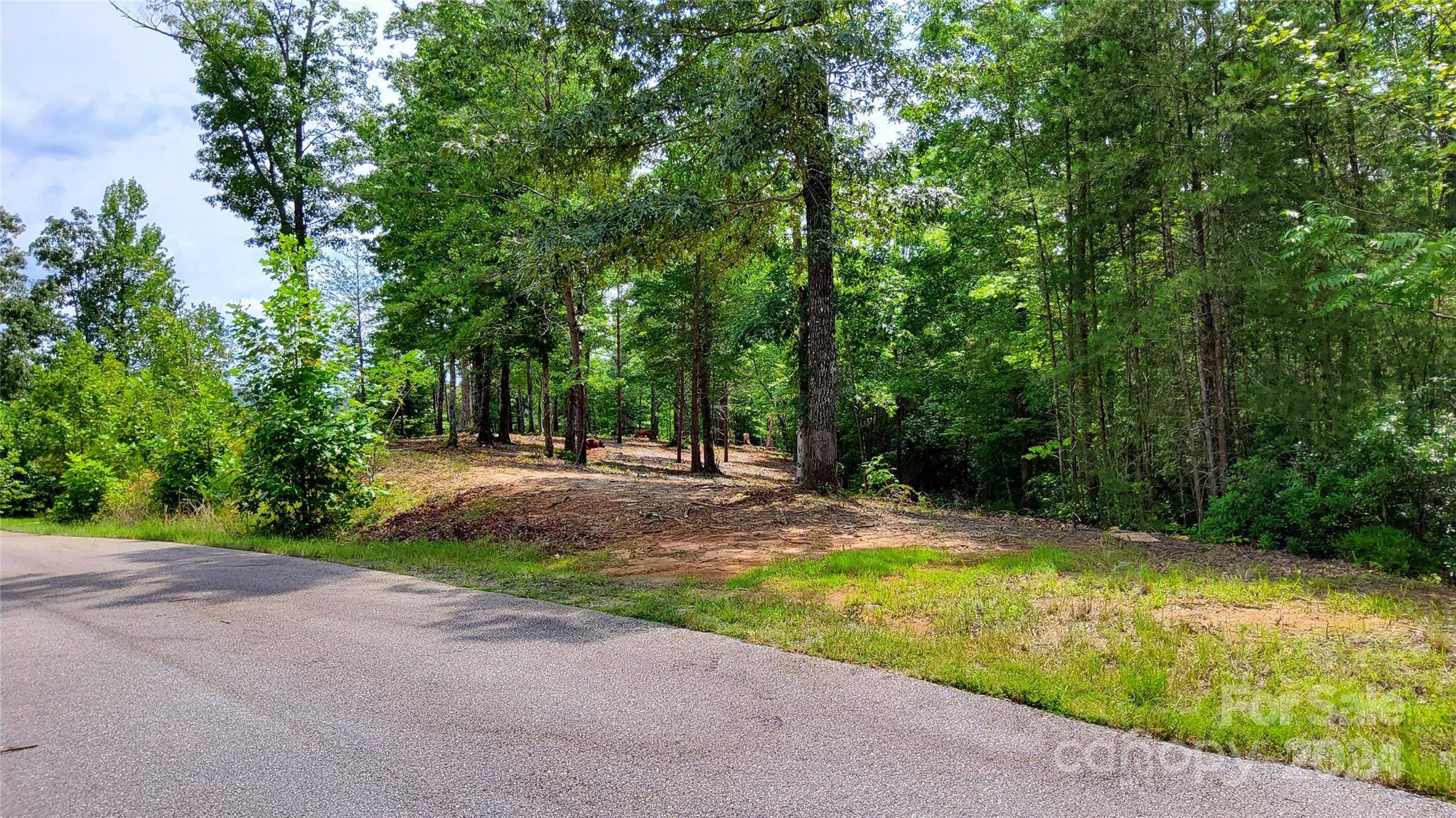 00 Wambli PASS #20 & 21, Lake Lure, NC 28746