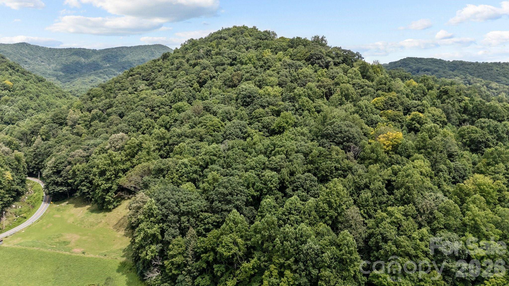 99999 Windswept DR, Burnsville, NC 28714