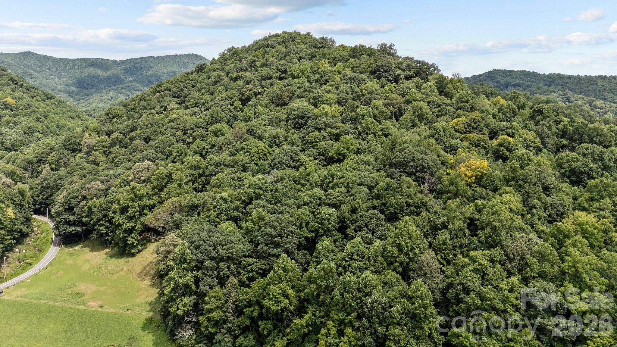 99999 Windswept DR, Burnsville, NC 28714