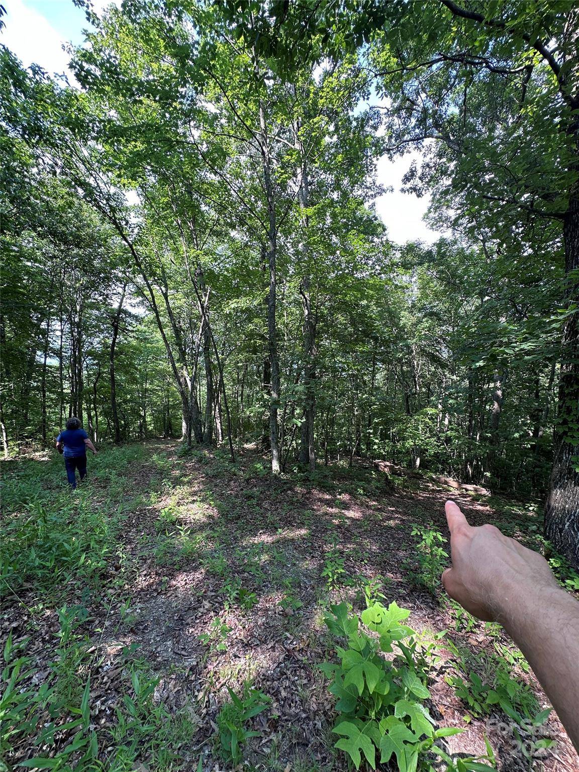 000 Destiny Farms RD, Leicester, NC 28748