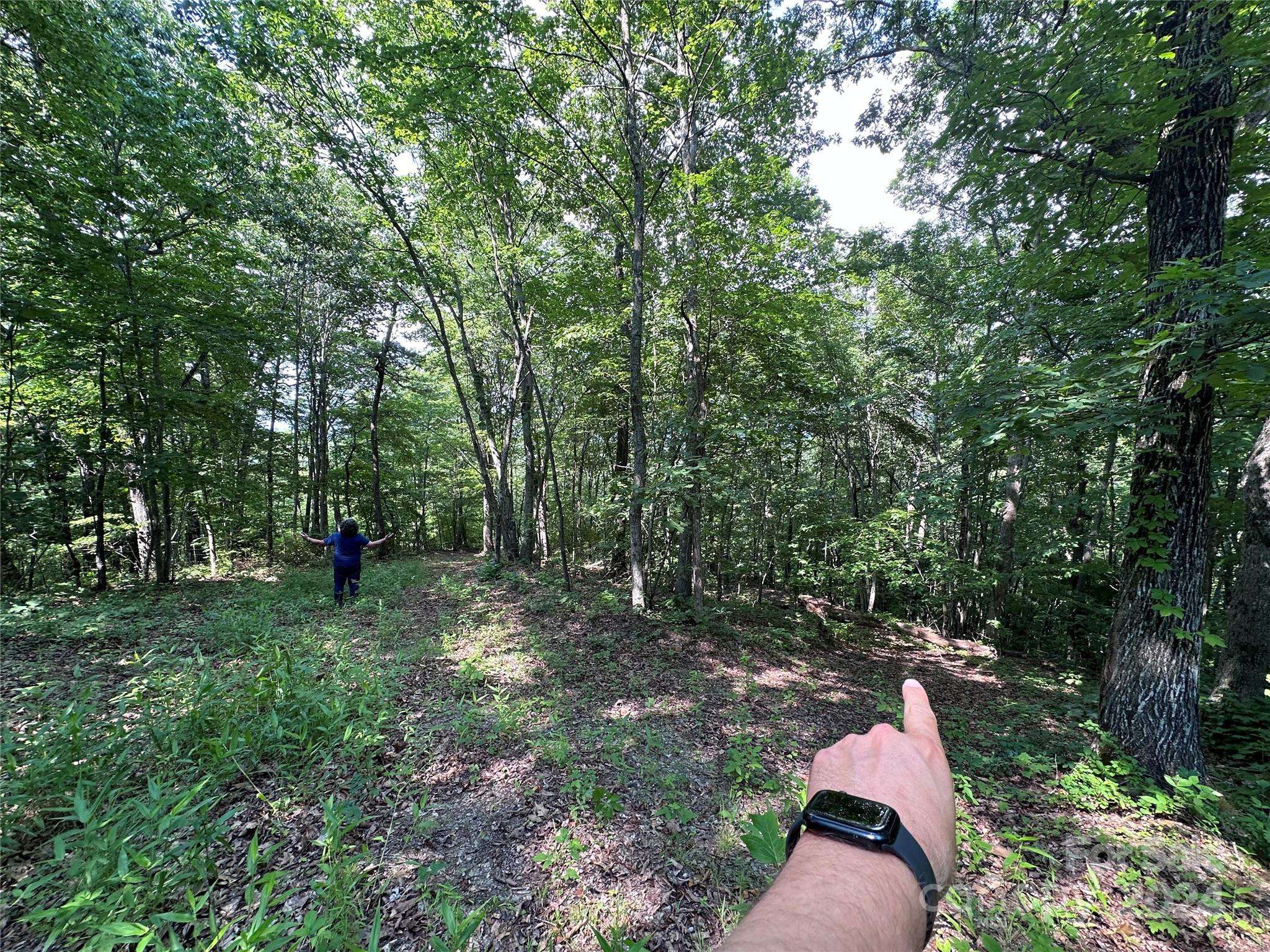 000 Destiny Farms RD, Leicester, NC 28748