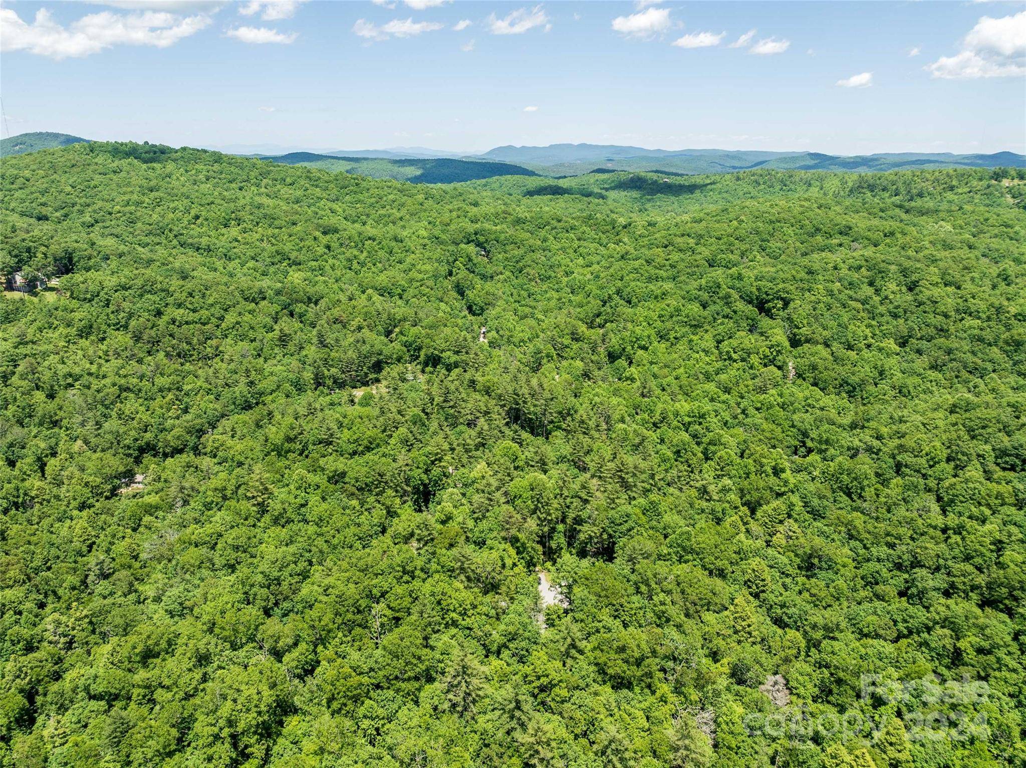 78 Smiling Fox TRL, Brevard, NC 28712