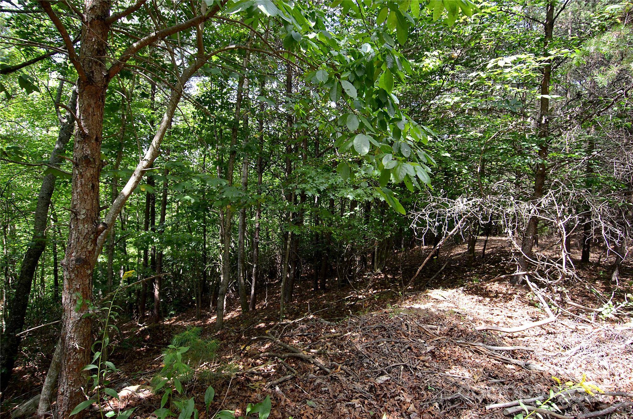 00 Victoria DR, Marion, NC 28752