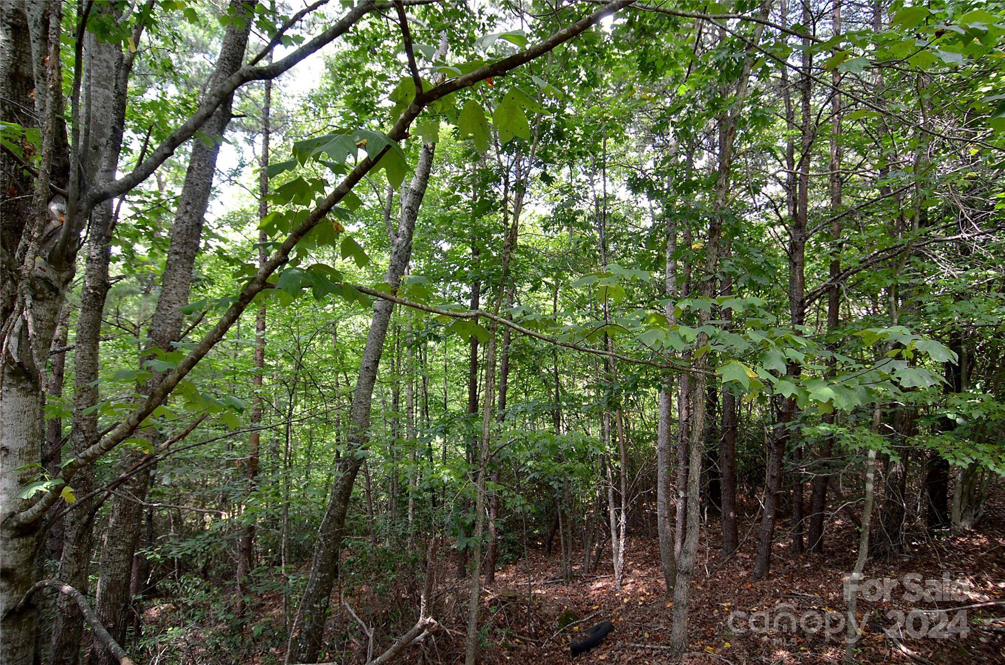 00 Victoria DR, Marion, NC 28752