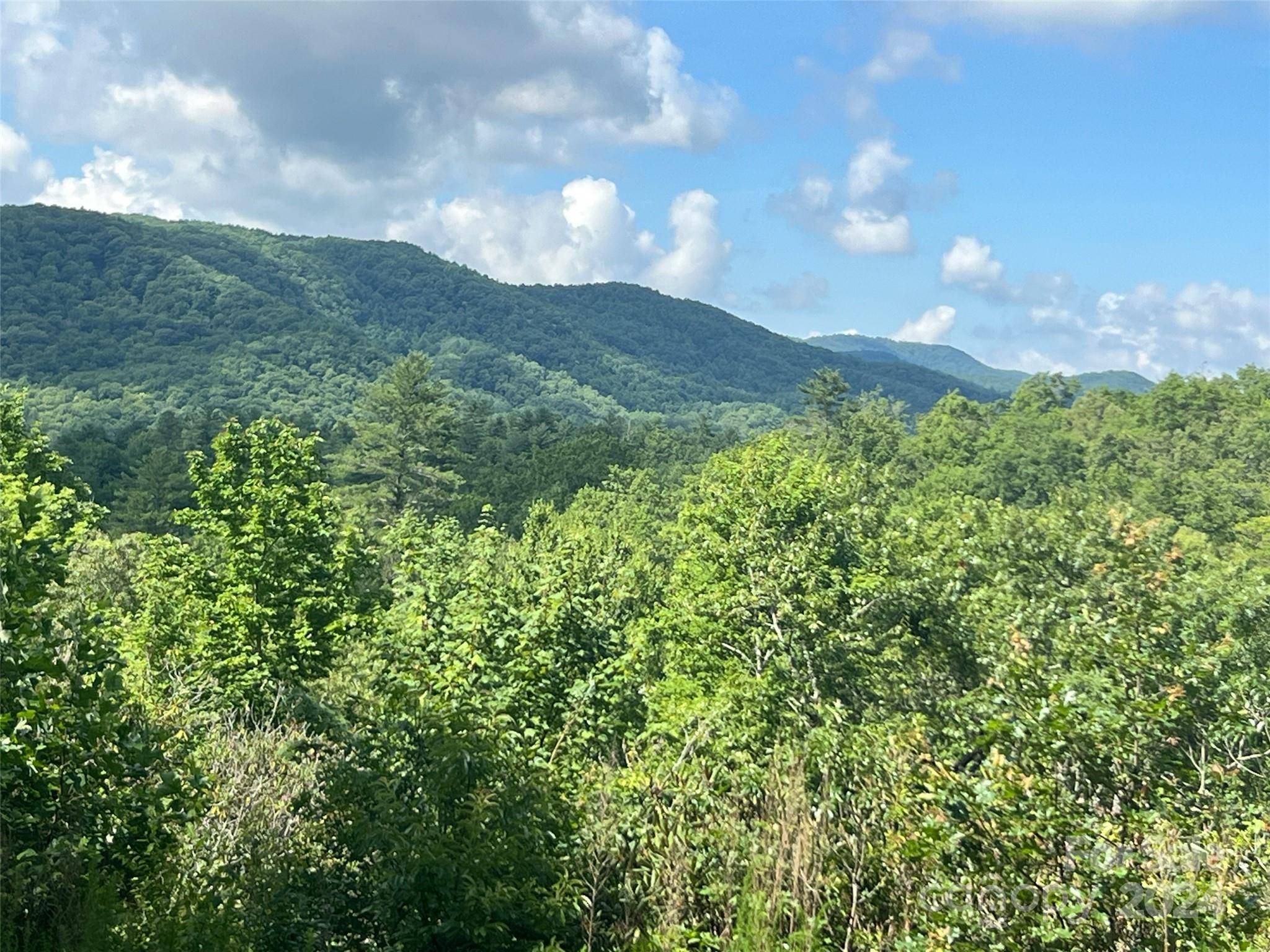 667 Laurel Thicket LN, Brevard, NC 28712