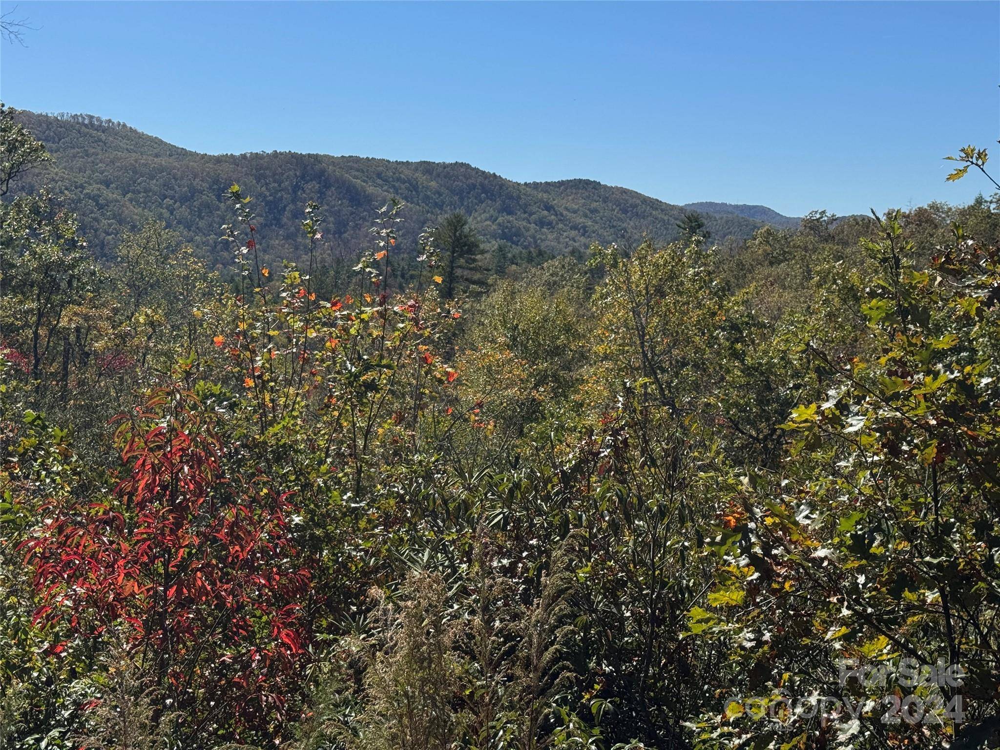667 Laurel Thicket LN, Brevard, NC 28712
