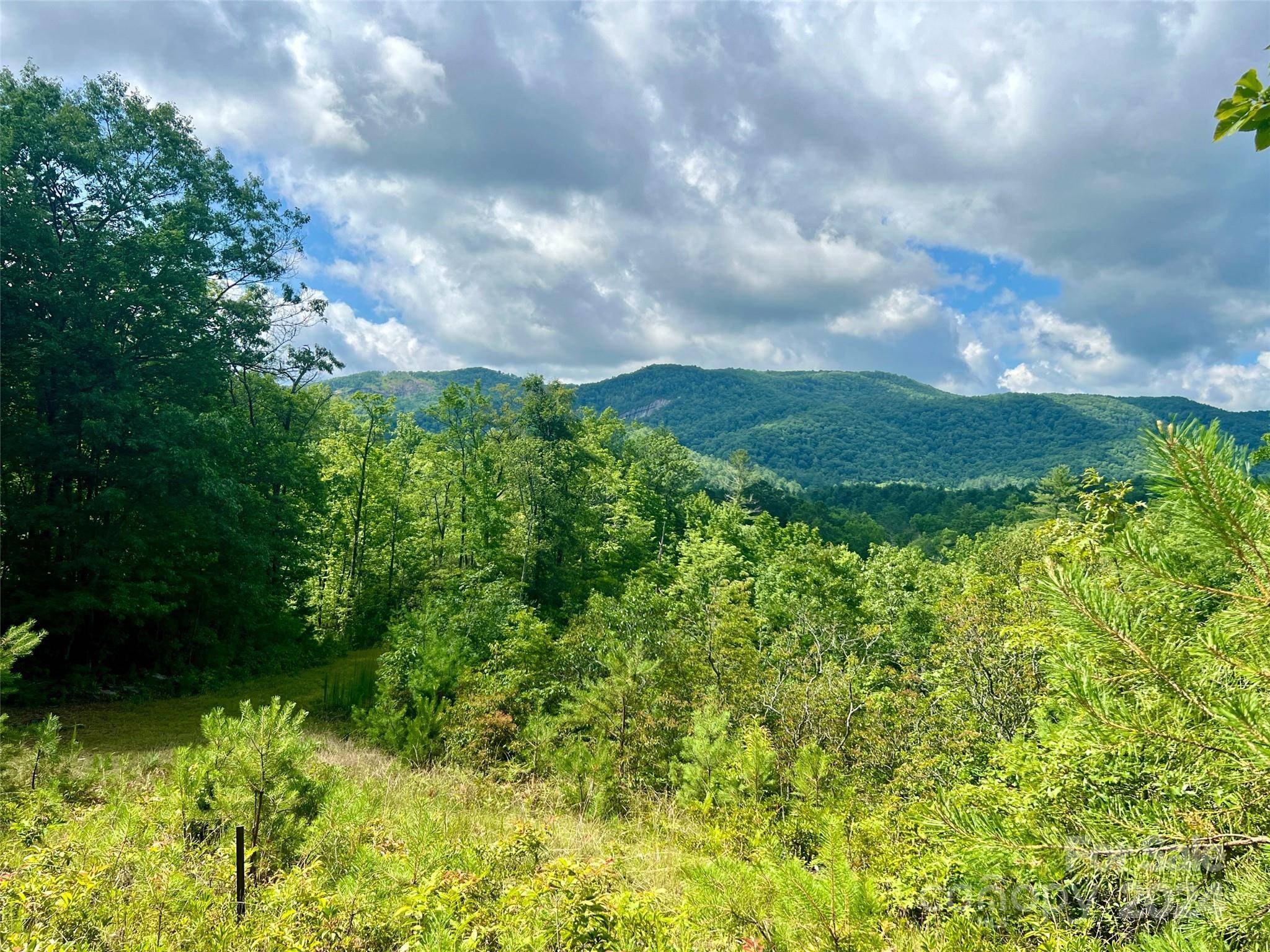 667 Laurel Thicket LN, Brevard, NC 28712