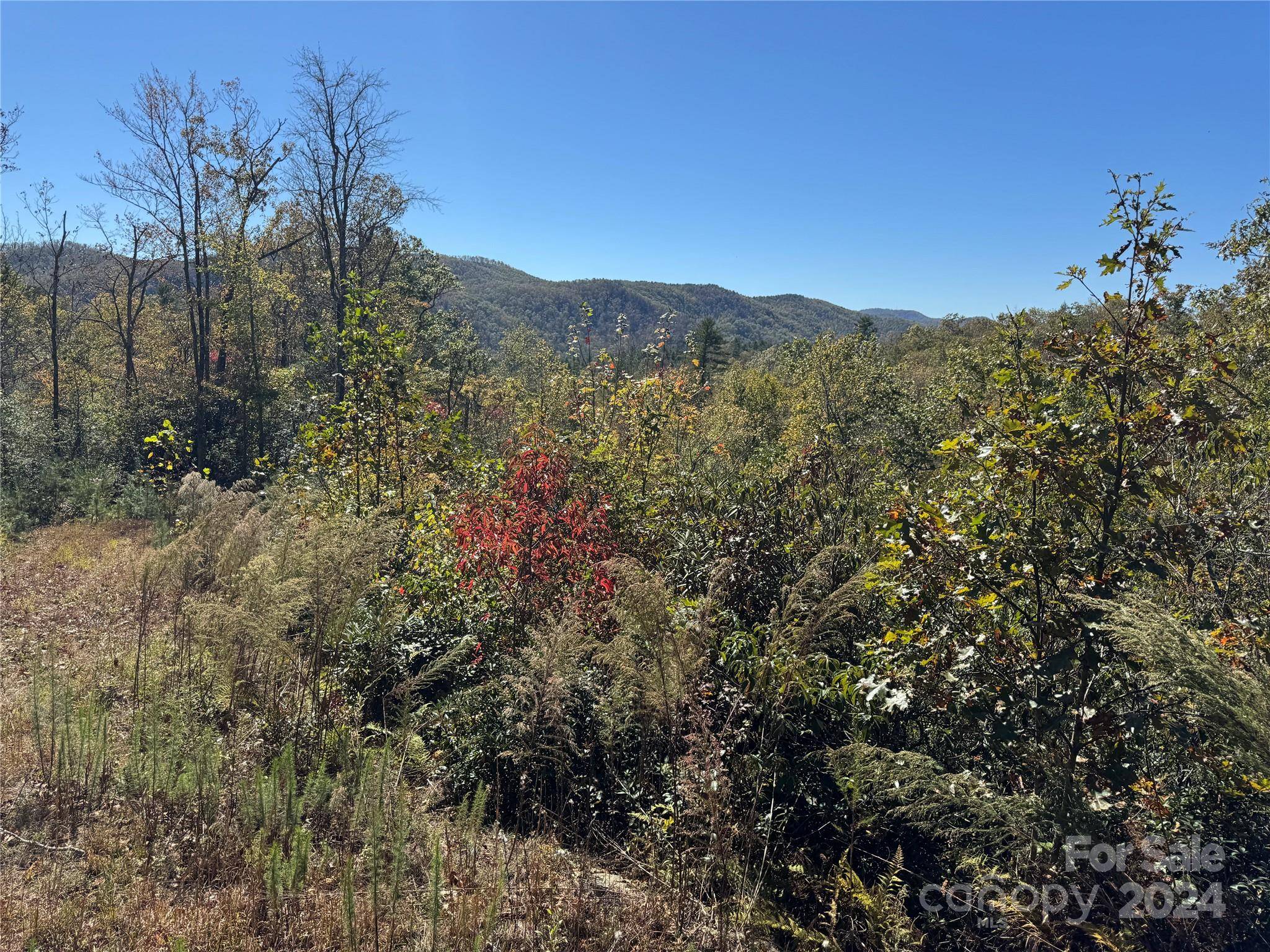 667 Laurel Thicket LN, Brevard, NC 28712
