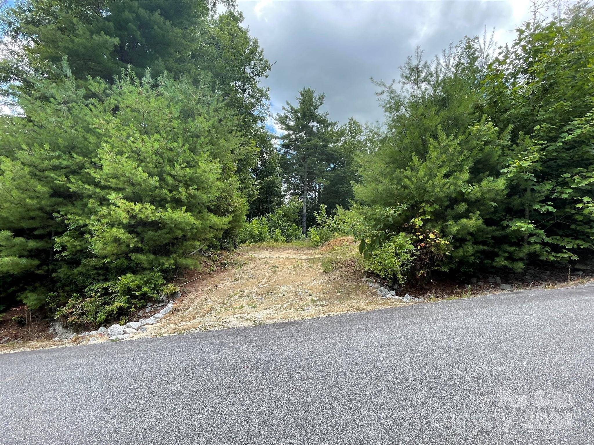 00 Willow Run LN #6, Zirconia, NC 28790