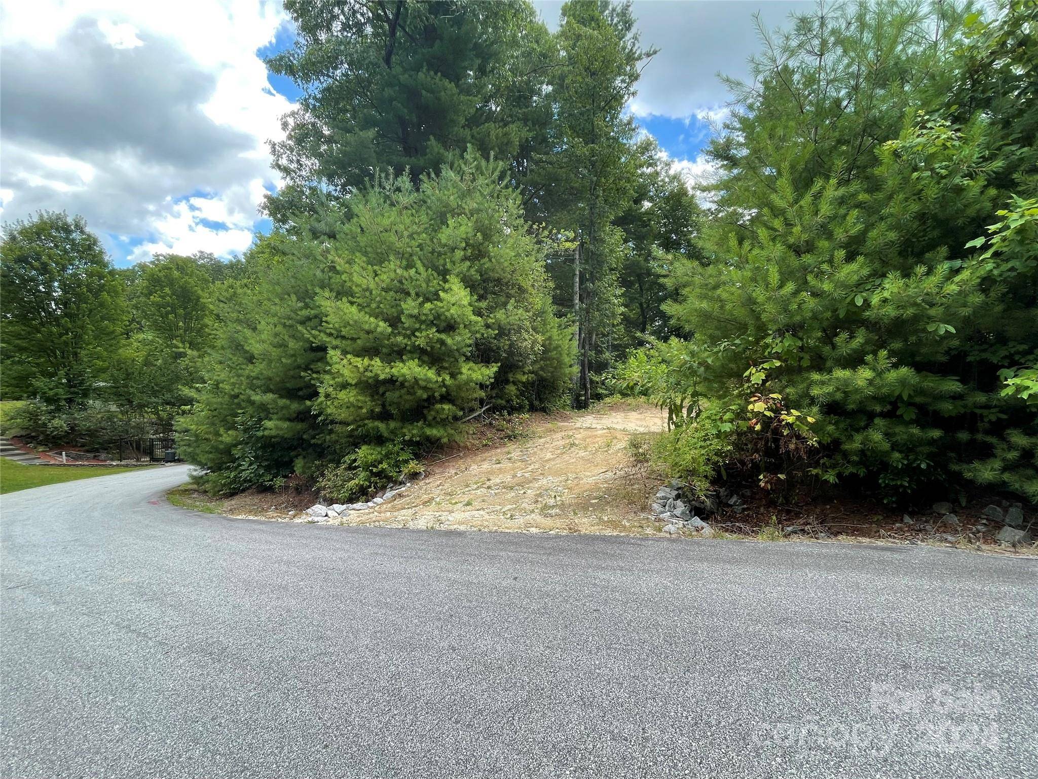 00 Willow Run LN #6, Zirconia, NC 28790