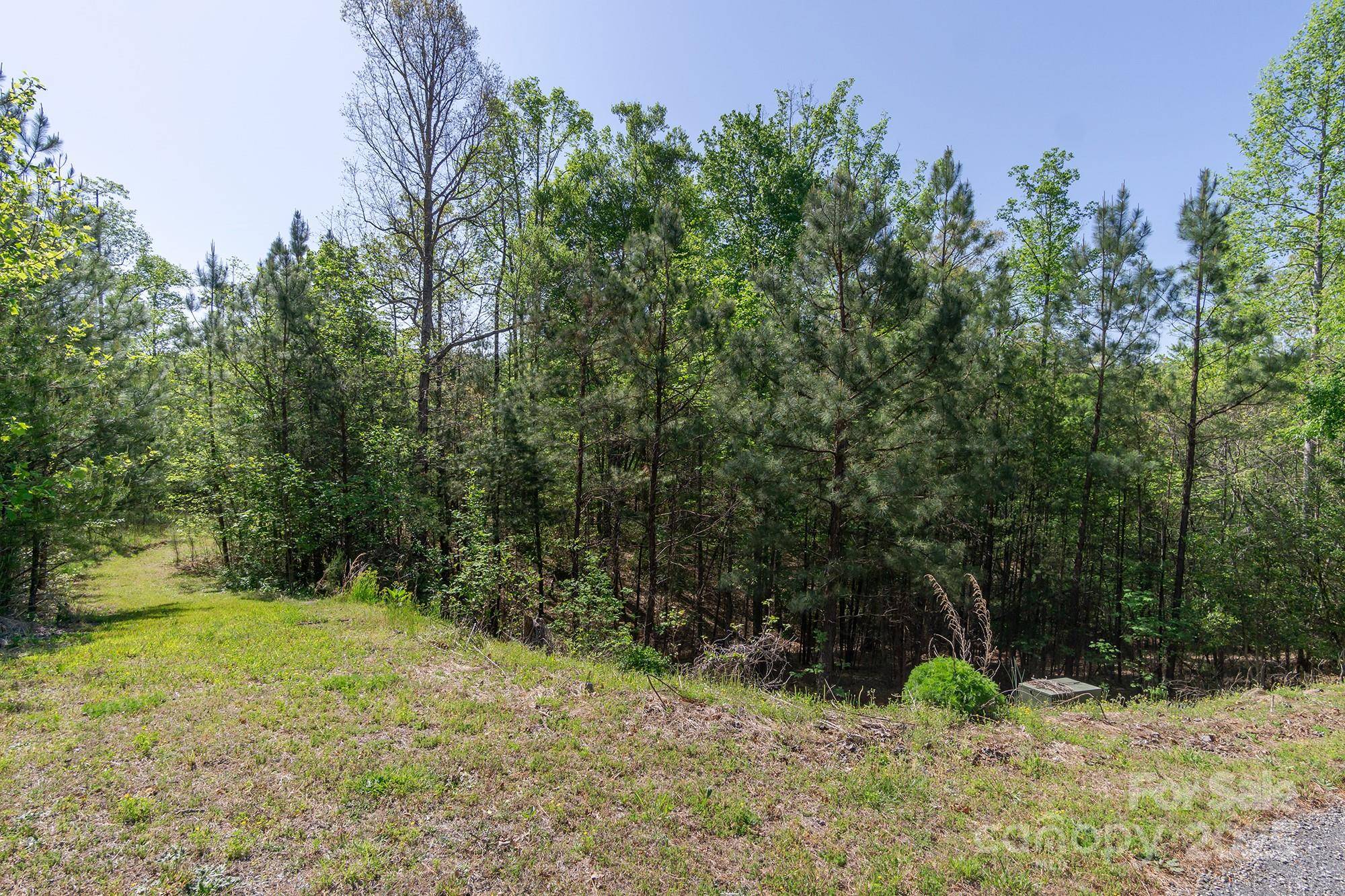 V/L Easy ST #11 and 12, Lake Lure, NC 28746