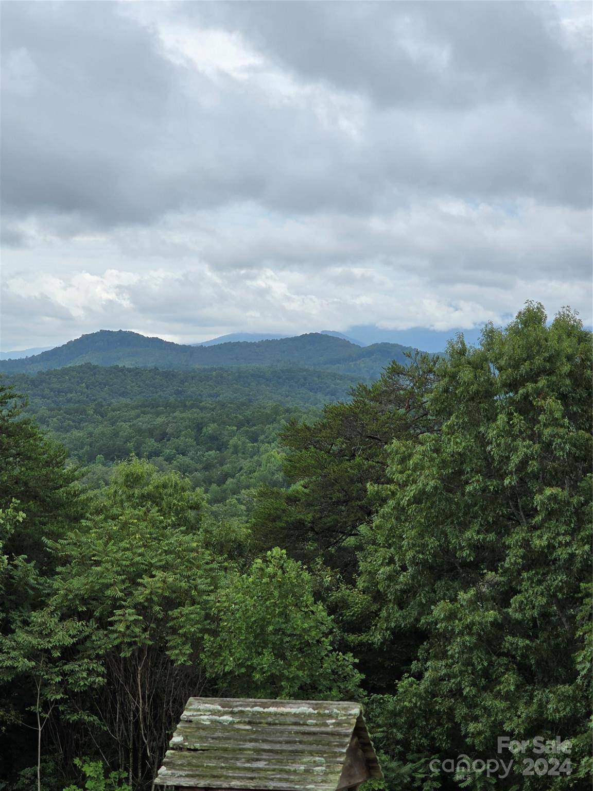 290 Boland DR, Lake Lure, NC 28746