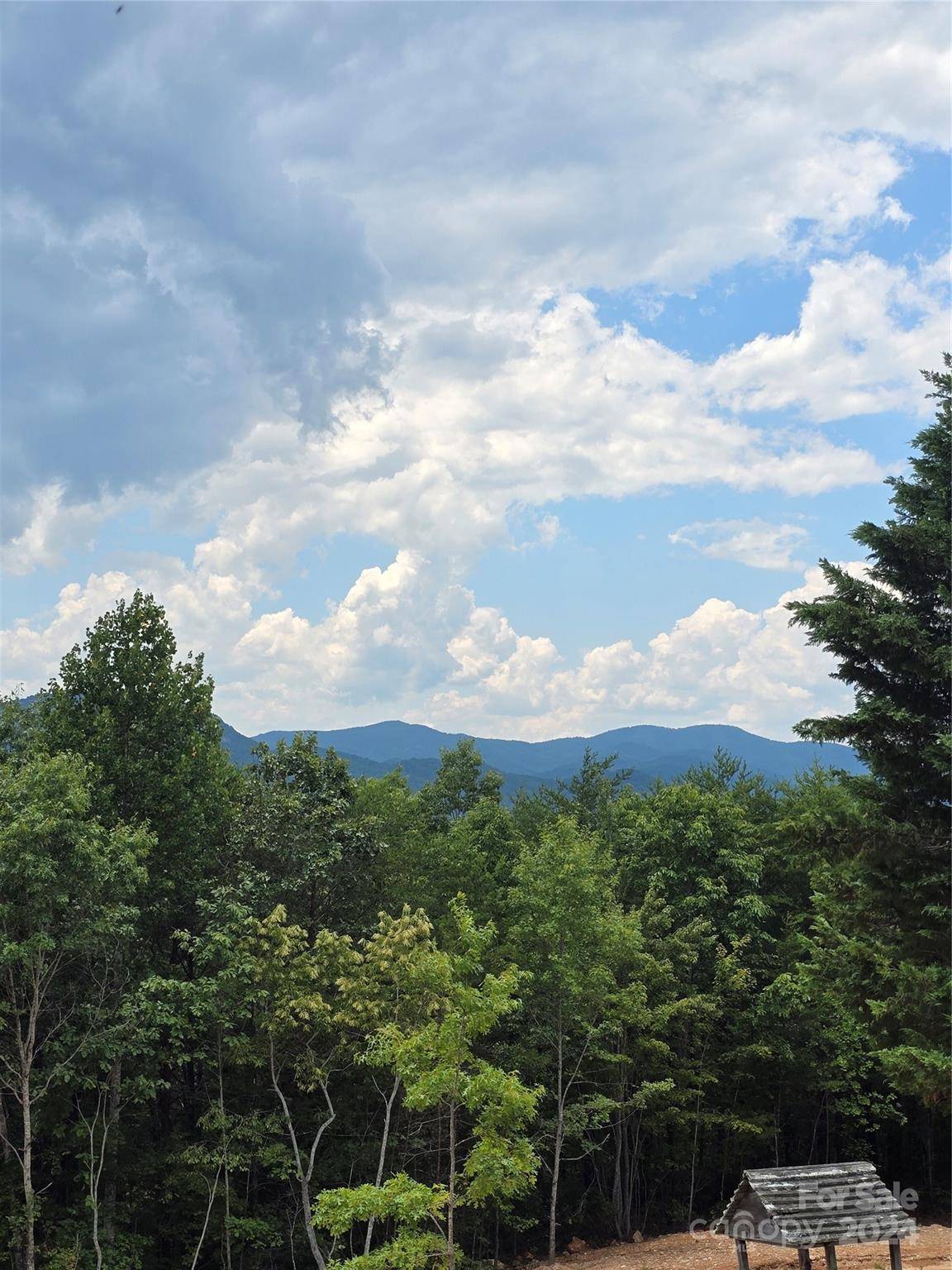 290 Boland DR, Lake Lure, NC 28746