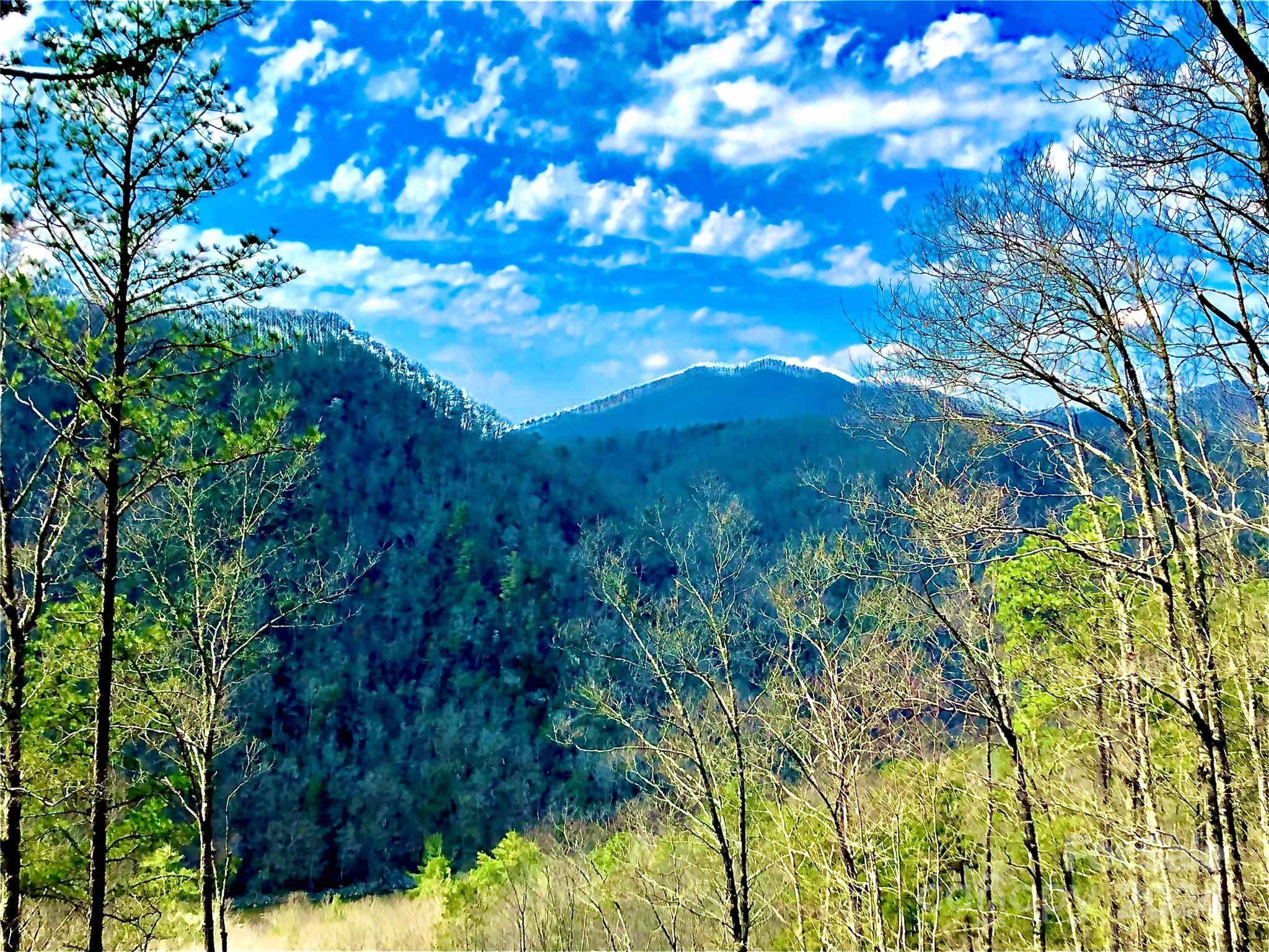 151 Wild Turkey LOOP #29, Marshall, NC 28753