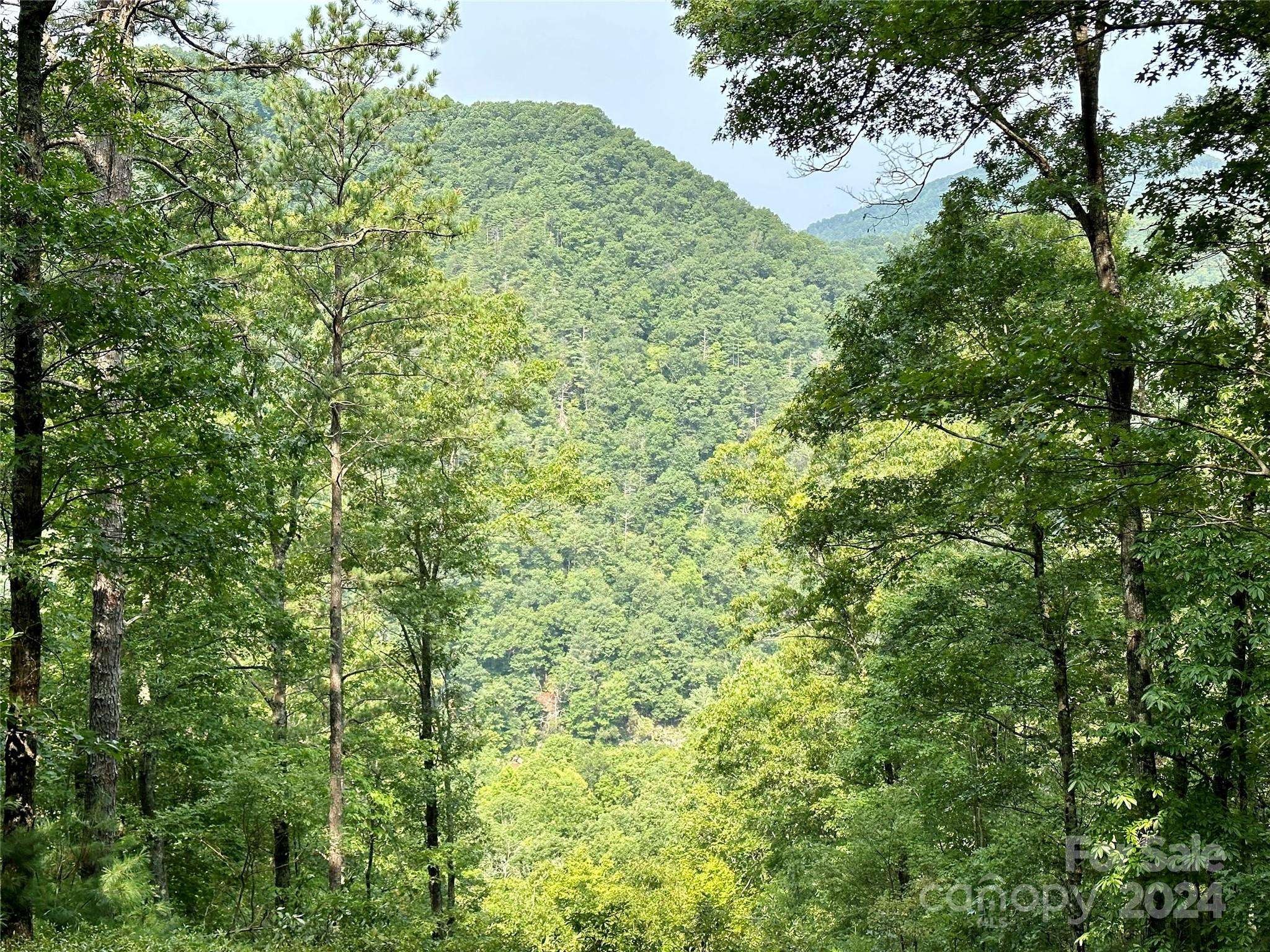 151 Wild Turkey LOOP #29, Marshall, NC 28753