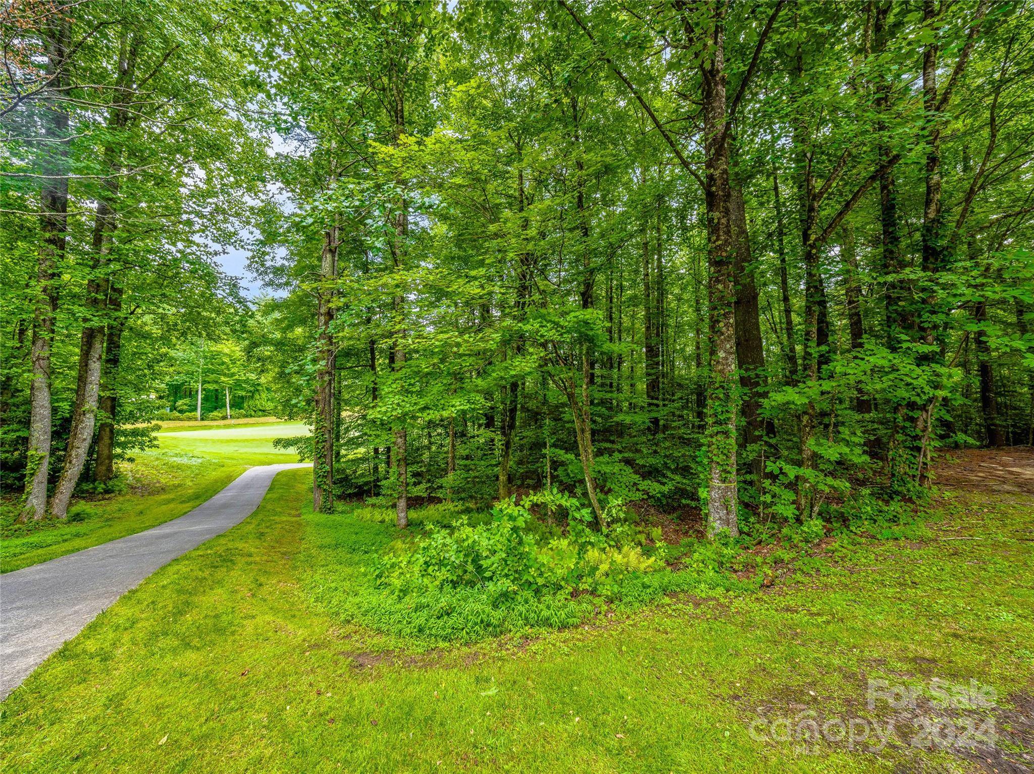 N 17 Mills Creek TRCE, Lake Toxaway, NC 28747
