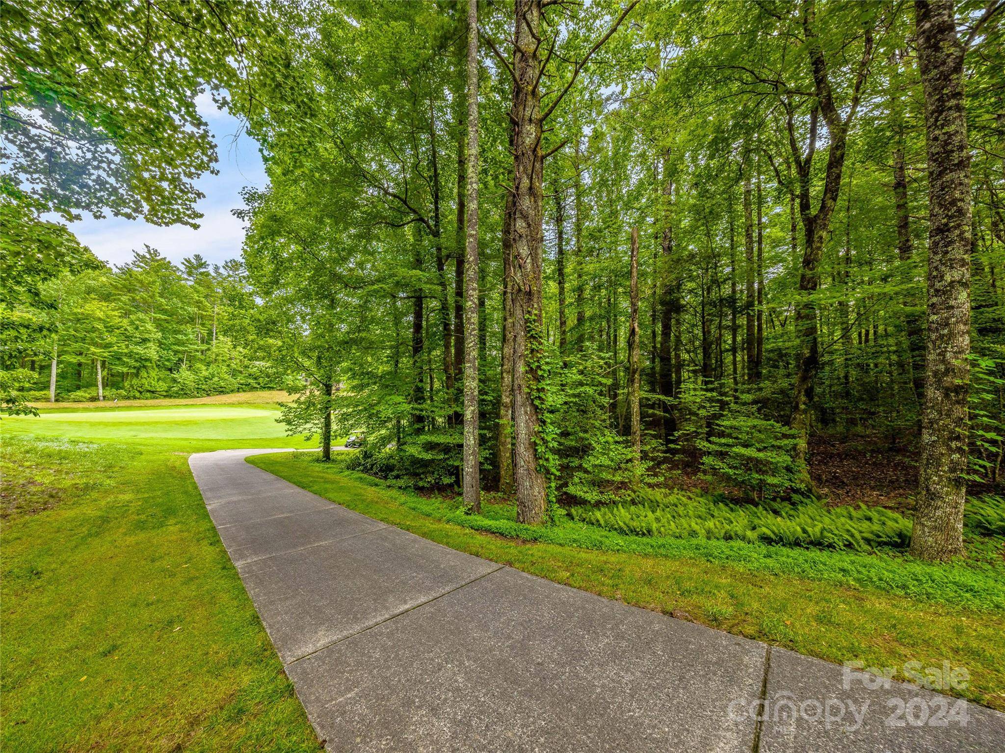 N 17 Mills Creek TRCE, Lake Toxaway, NC 28747