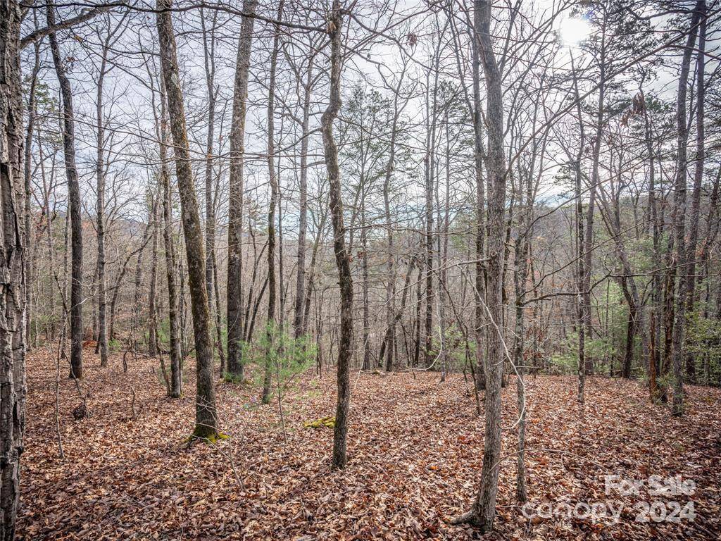 163 Pheasant ST #163, Lake Lure, NC 28746
