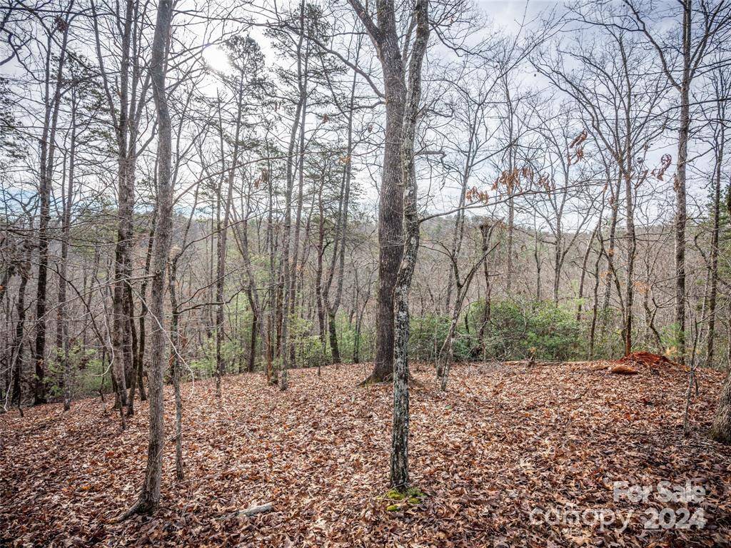 163 Pheasant ST #163, Lake Lure, NC 28746