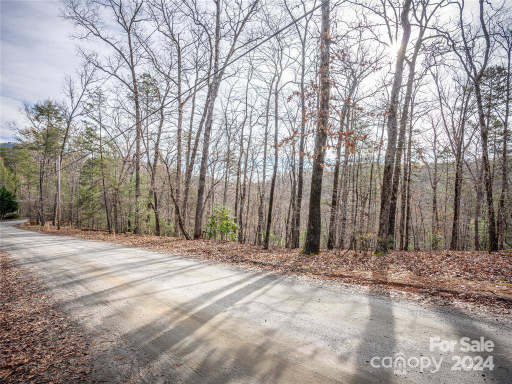 163 Pheasant ST #163, Lake Lure, NC 28746