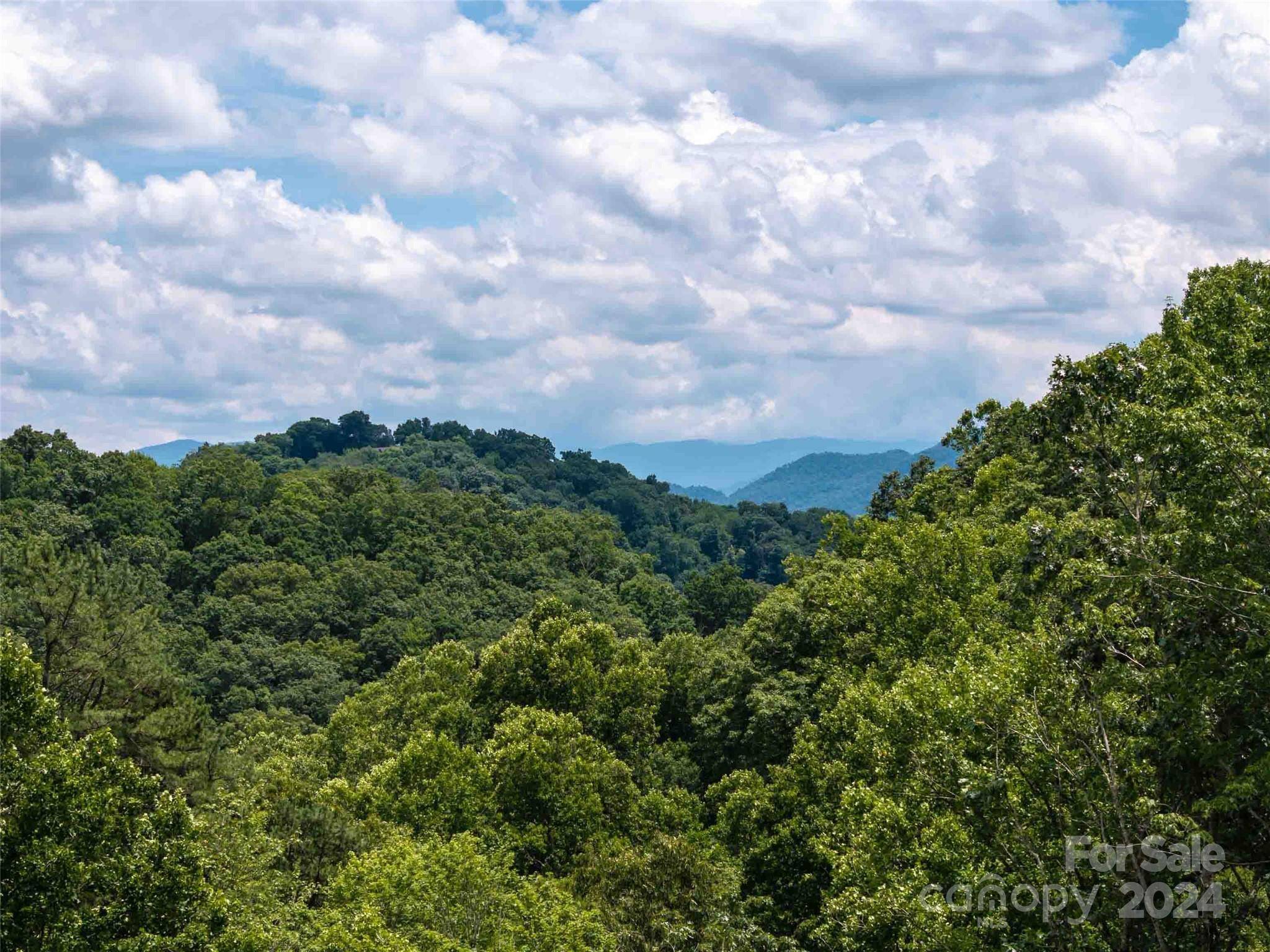 #32 Tapestry TRL, Waynesville, NC 28785