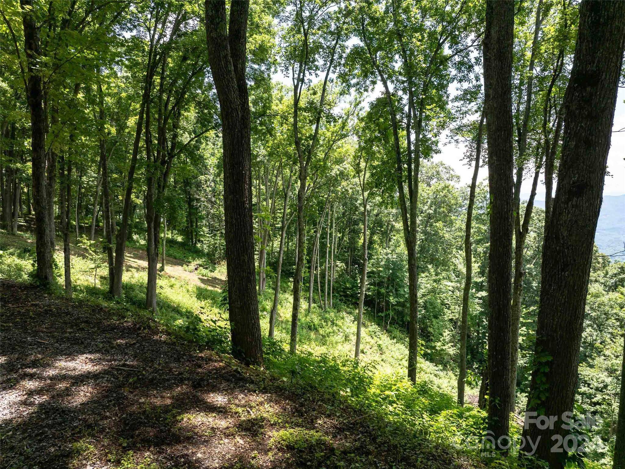 #54 Sleepy Hollow DR, Waynesville, NC 28785