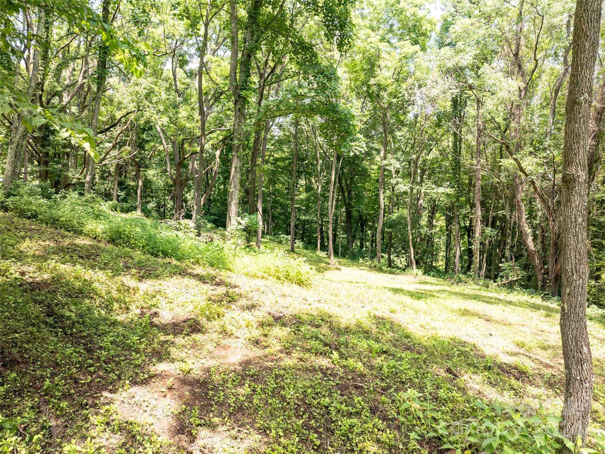 00 Hardy Branch TRL, Waynesville, NC 28785