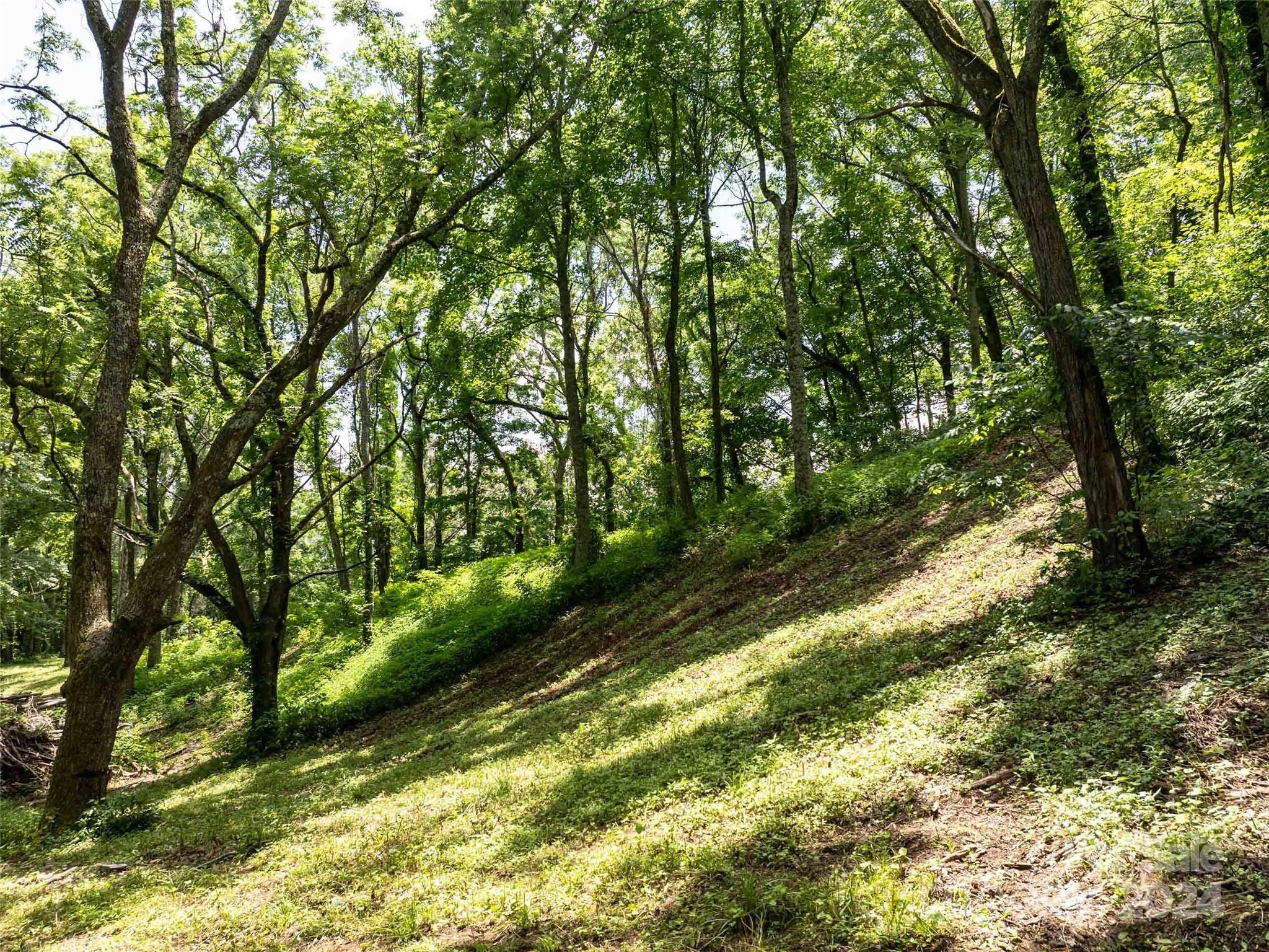 00 Hardy Branch TRL, Waynesville, NC 28785