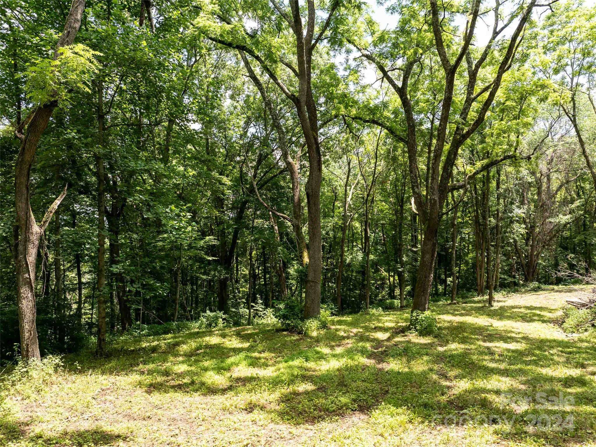 00 Hardy Branch TRL, Waynesville, NC 28785