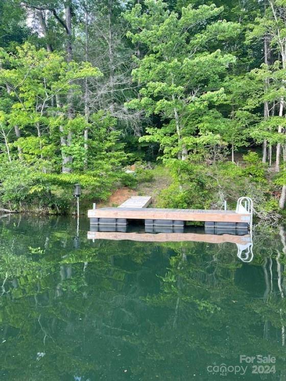 1733 Buffalo Creek RD, Lake Lure, NC 28746