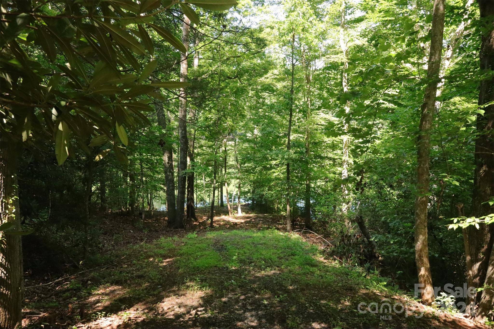 1733 Buffalo Creek RD, Lake Lure, NC 28746