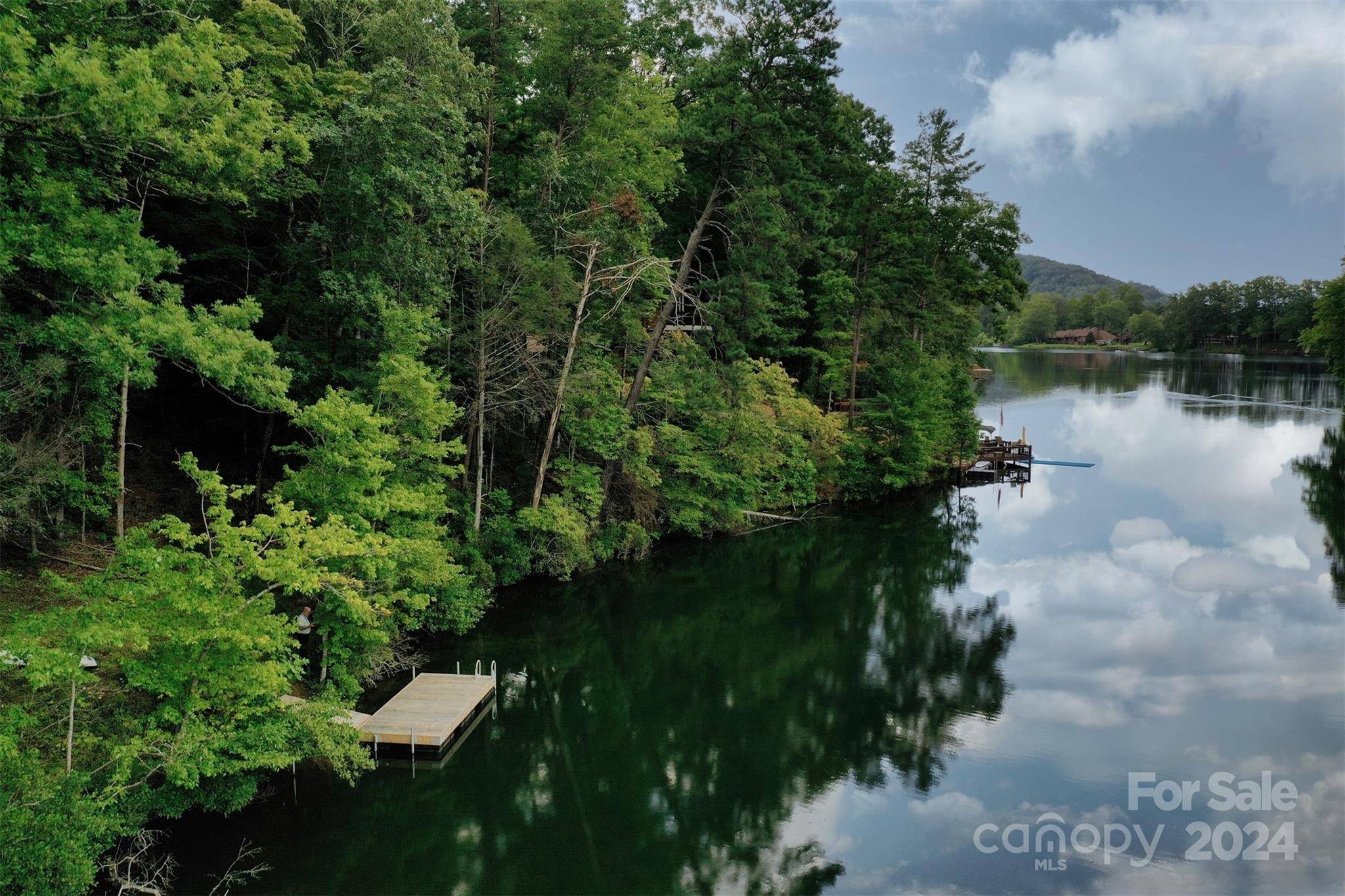 1733 Buffalo Creek RD, Lake Lure, NC 28746