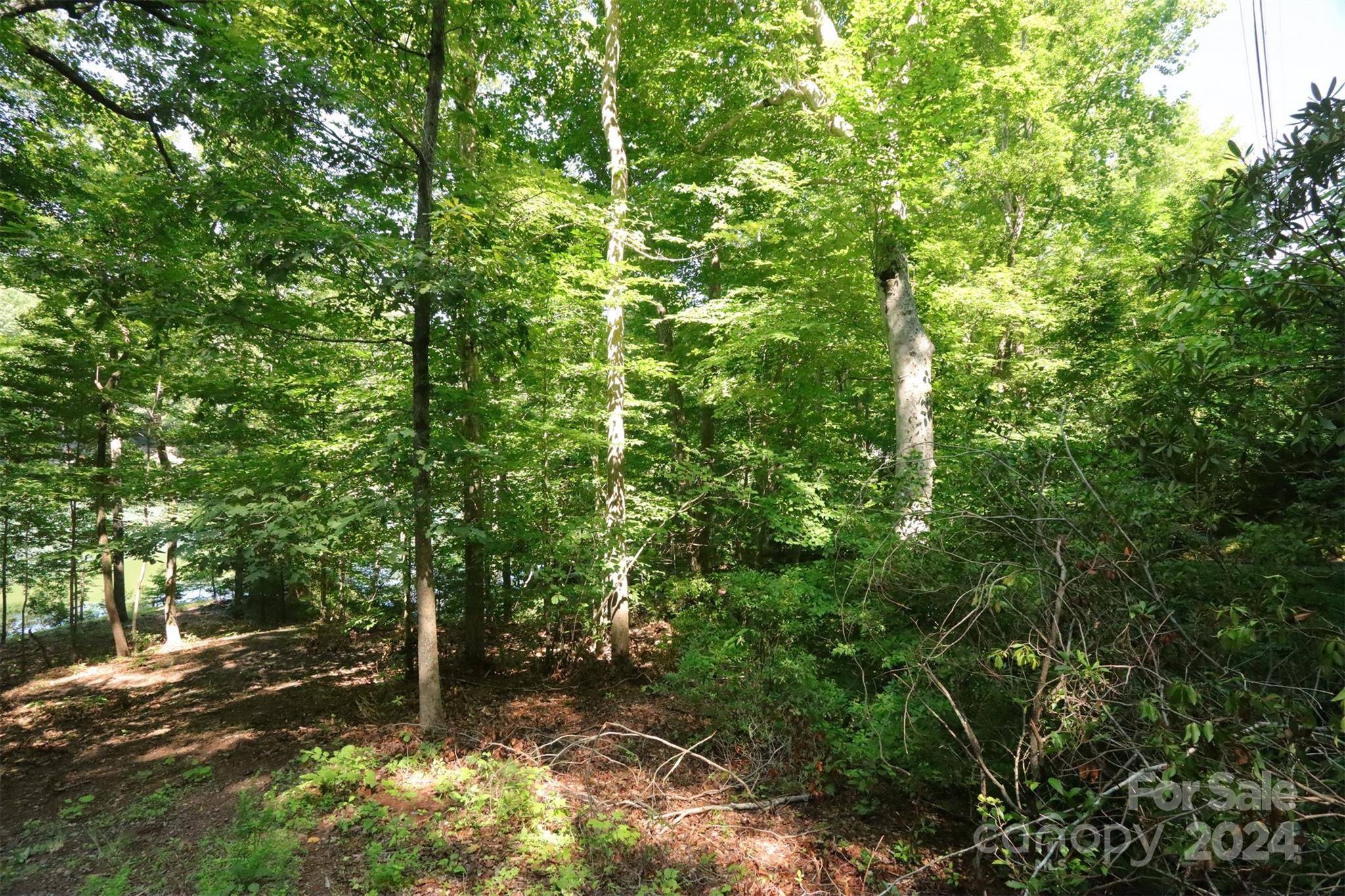 1733 Buffalo Creek RD, Lake Lure, NC 28746