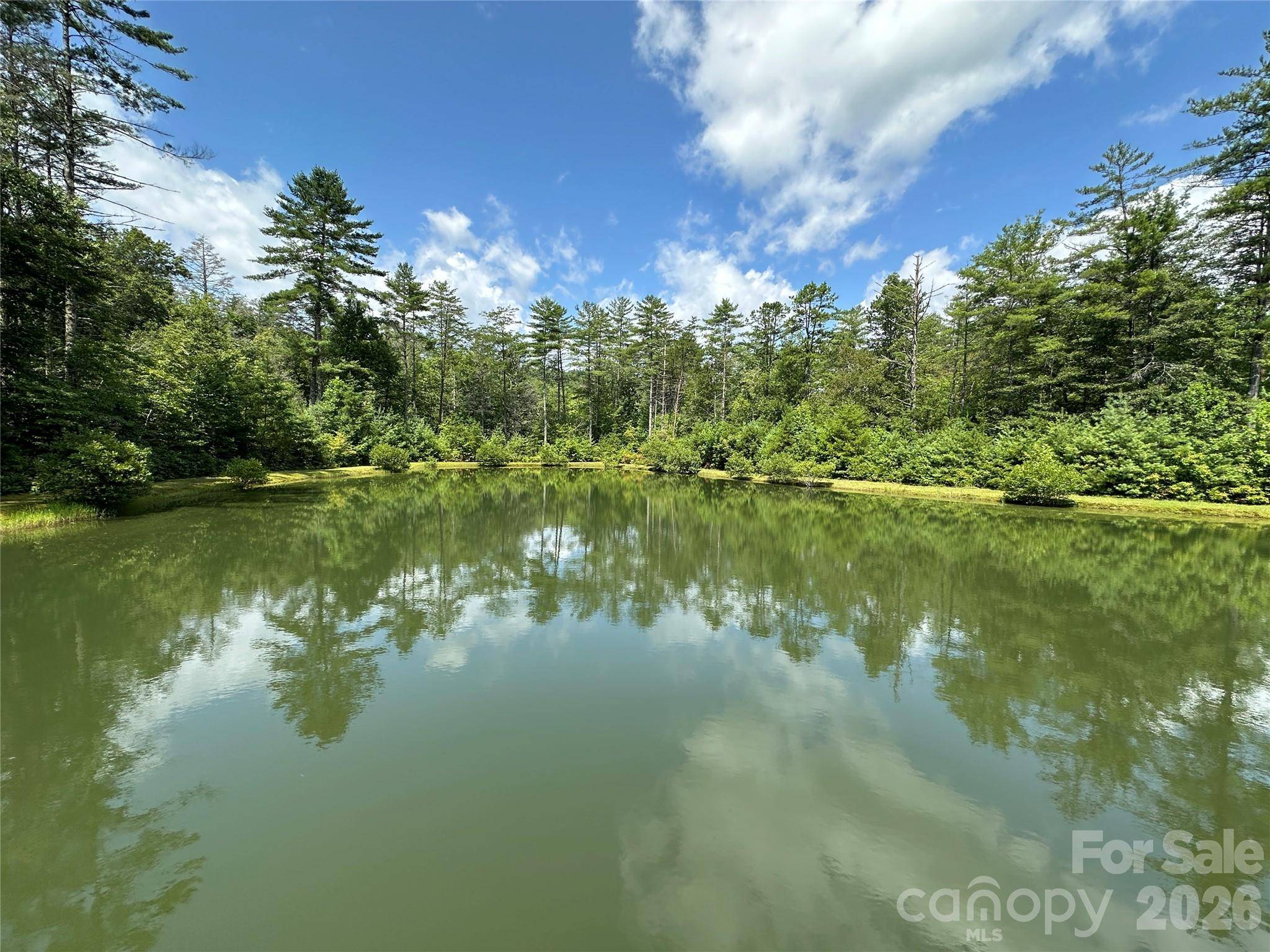 67 Peppervine CIR, Rosman, NC 28772