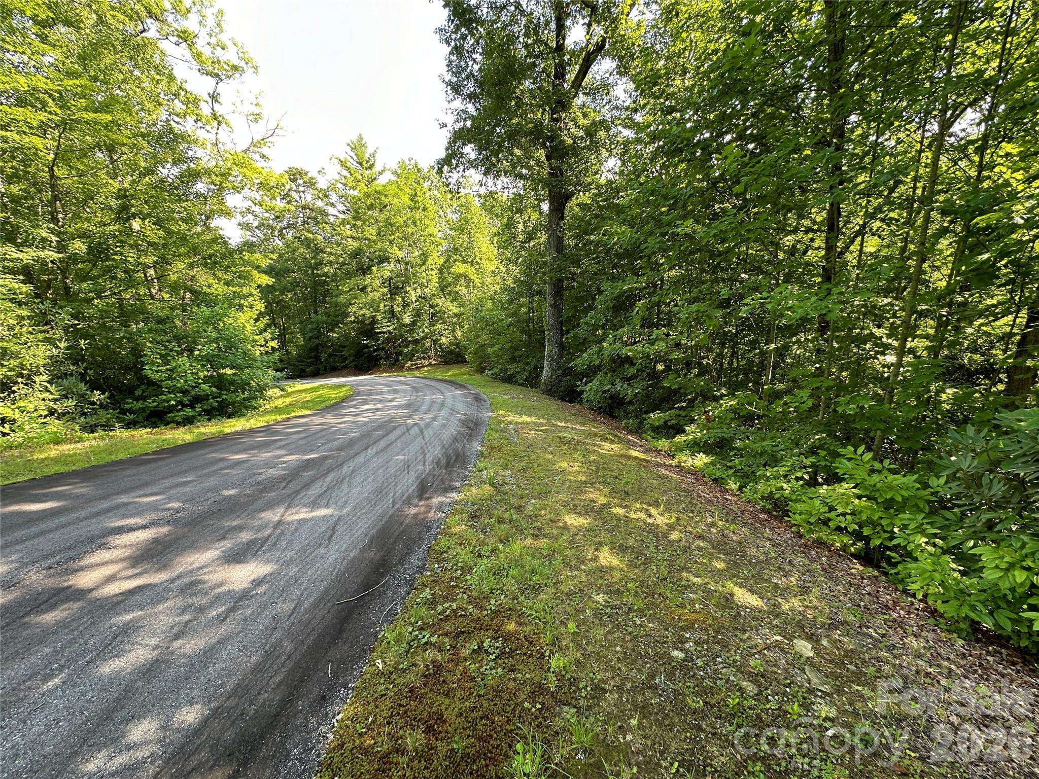 67 Peppervine CIR, Rosman, NC 28772
