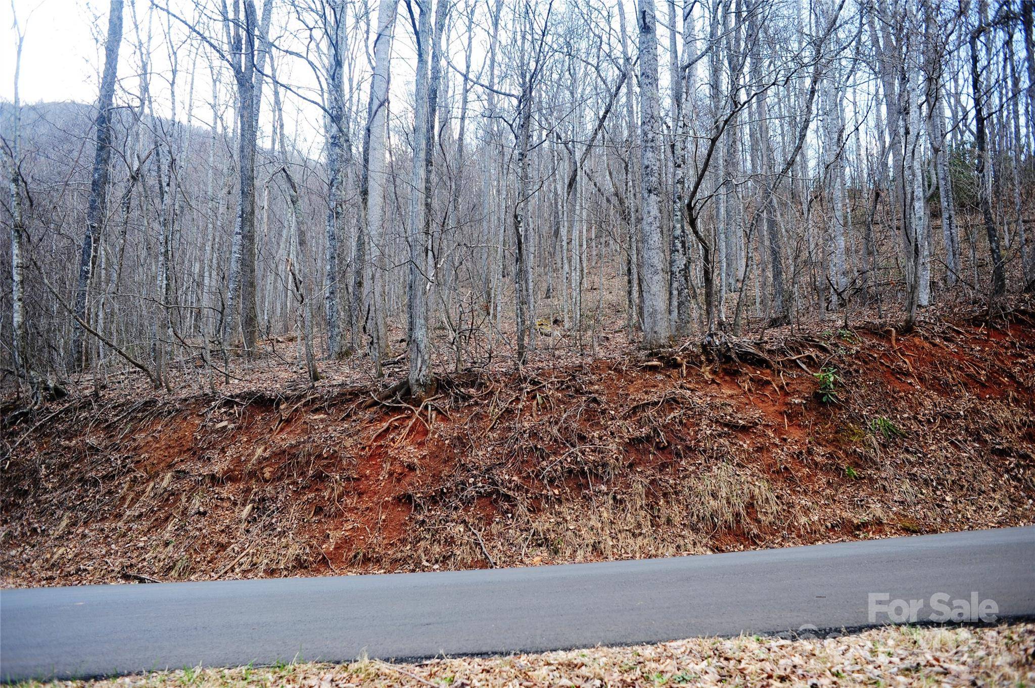 54 Great Aspen WAY #701, Black Mountain, NC 28711
