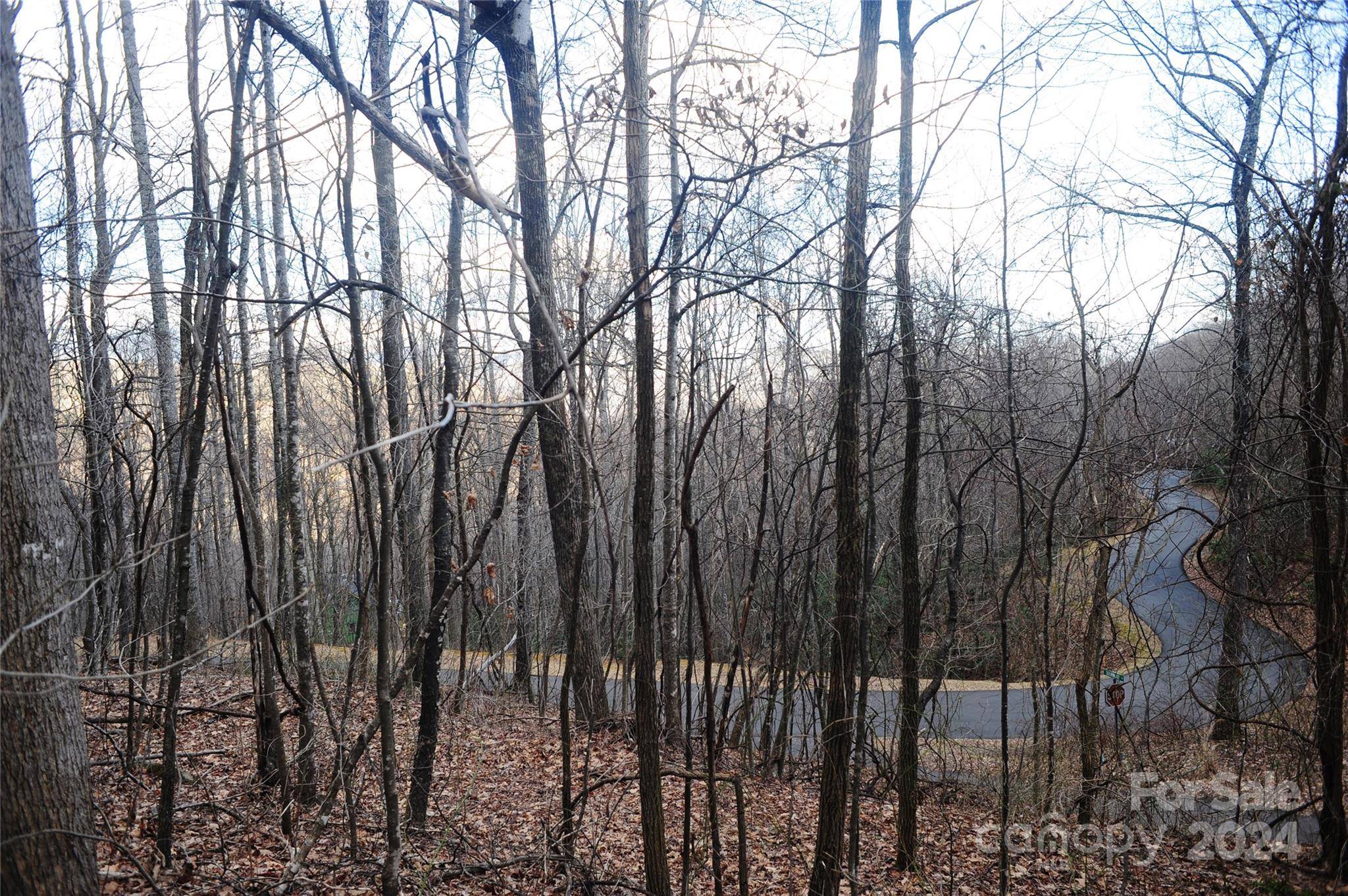 54 Great Aspen WAY #701, Black Mountain, NC 28711