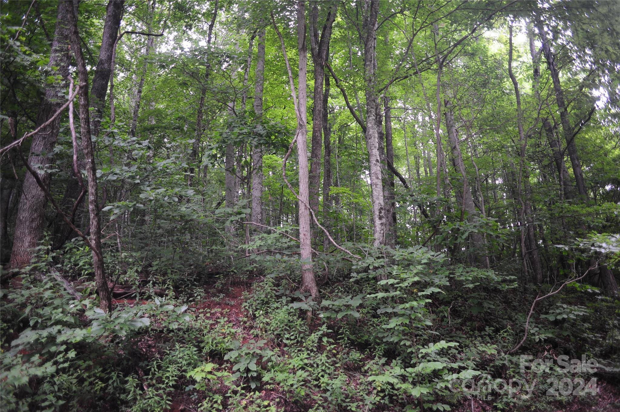 54 Great Aspen WAY #701, Black Mountain, NC 28711
