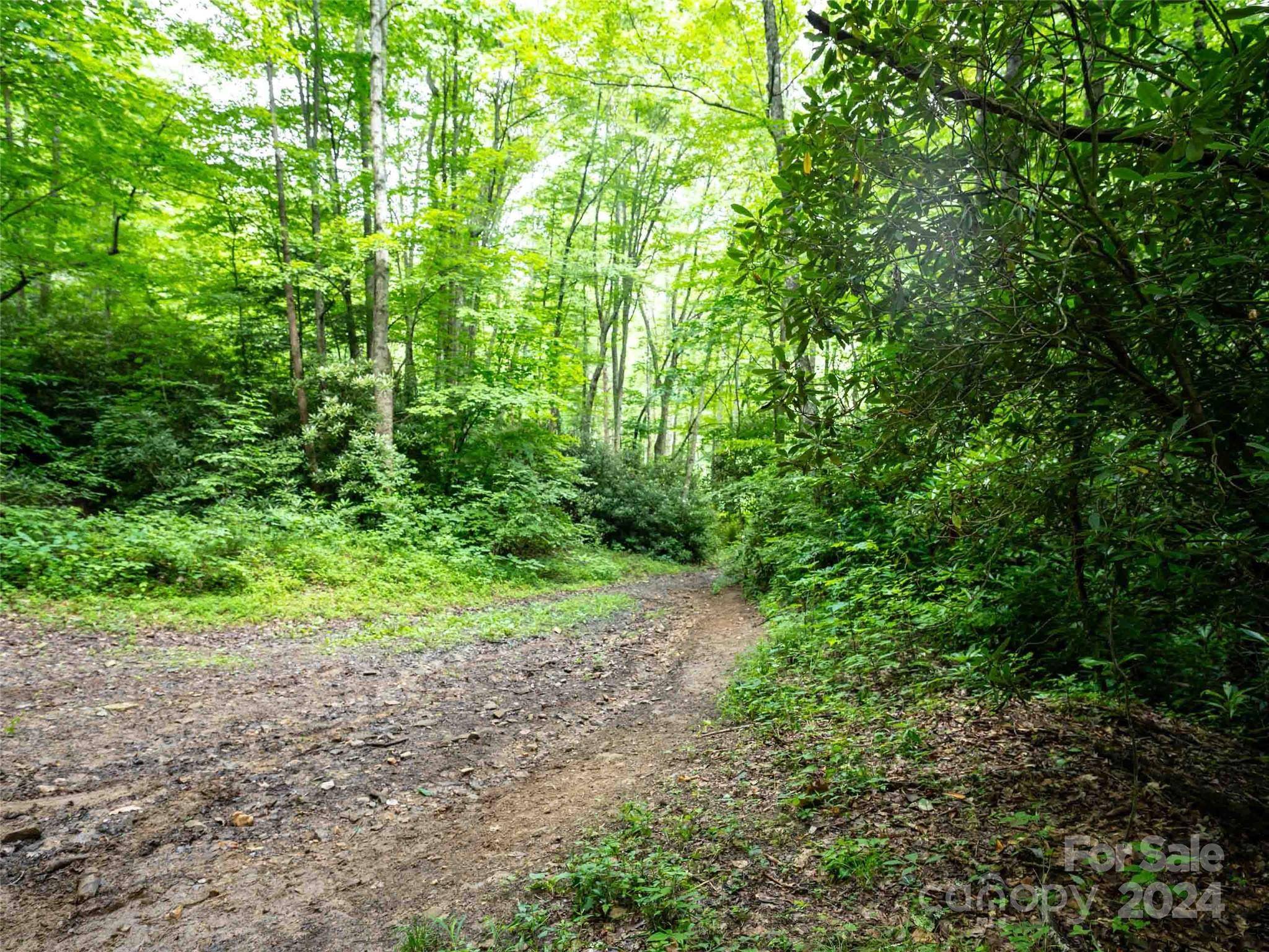 00 Waterwheel CV, Clyde, NC 28721