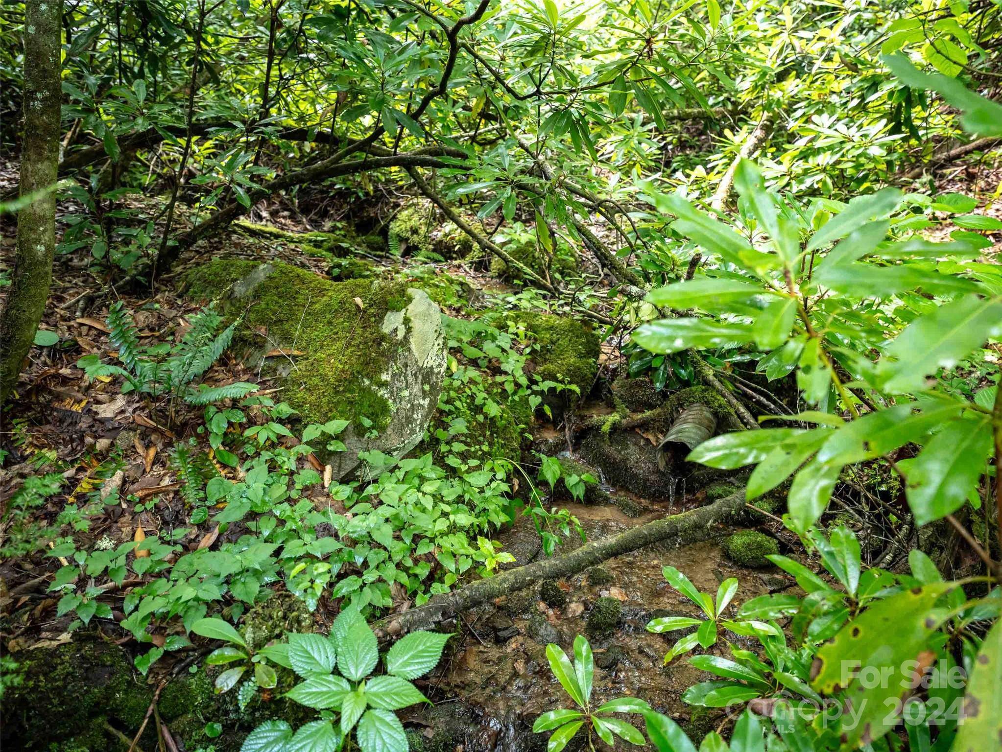 00 Waterwheel CV, Clyde, NC 28721