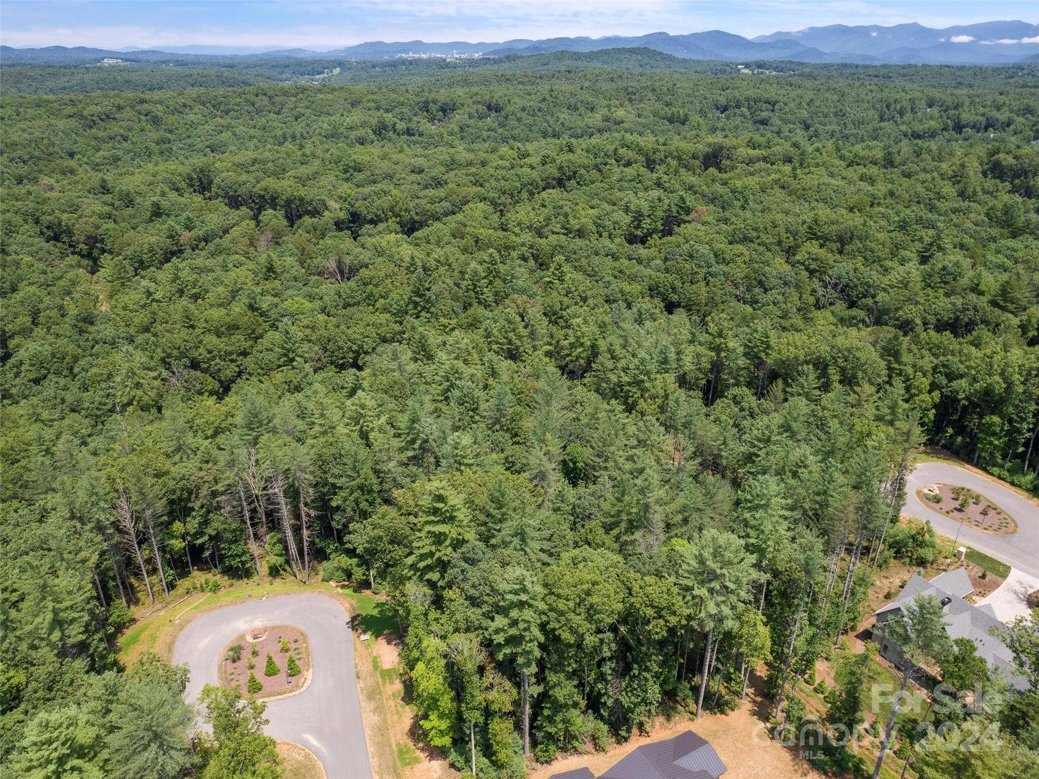 323 Flowering Vine CT #617, Asheville, NC 28803